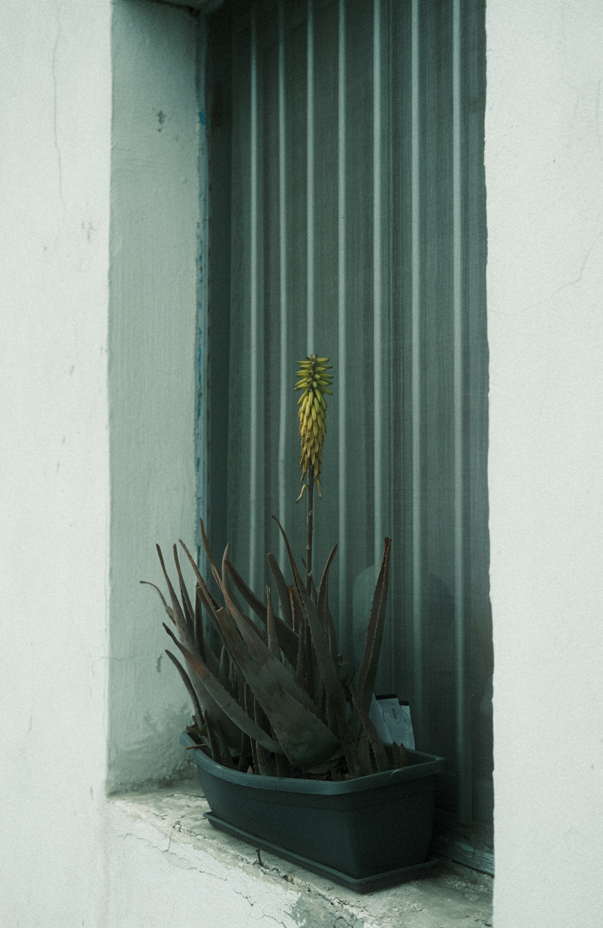 Candid street photography cyprus photos