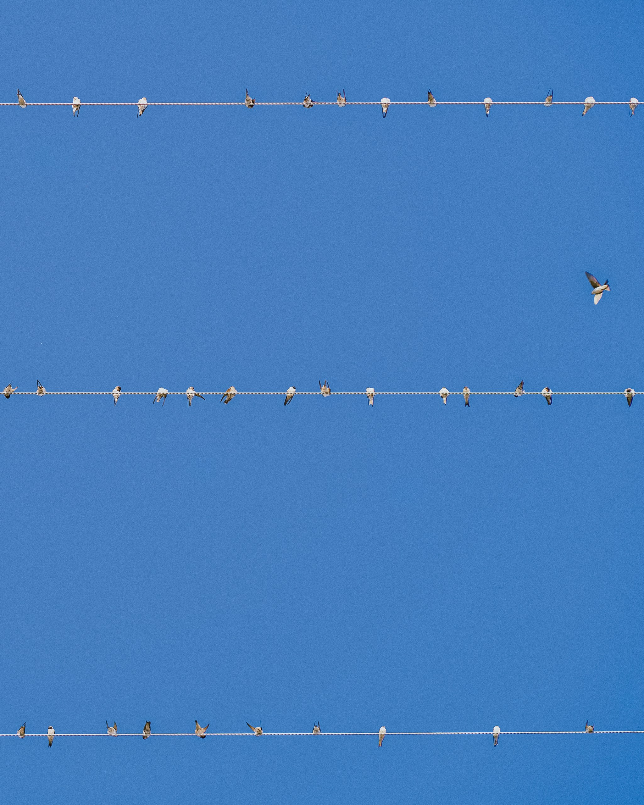 Minimalism