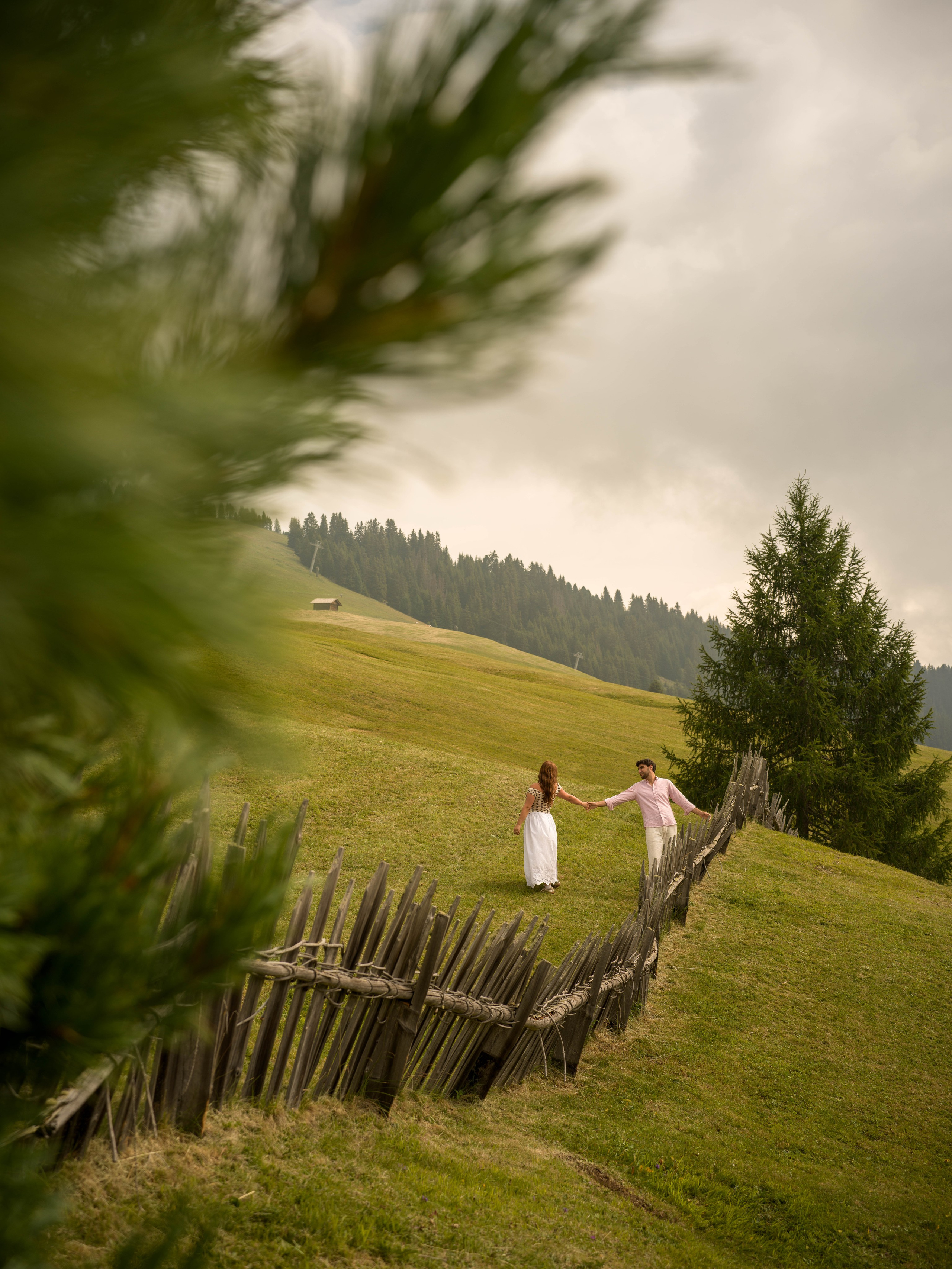 Proposal, Alpe di Siusi, the Dolomites