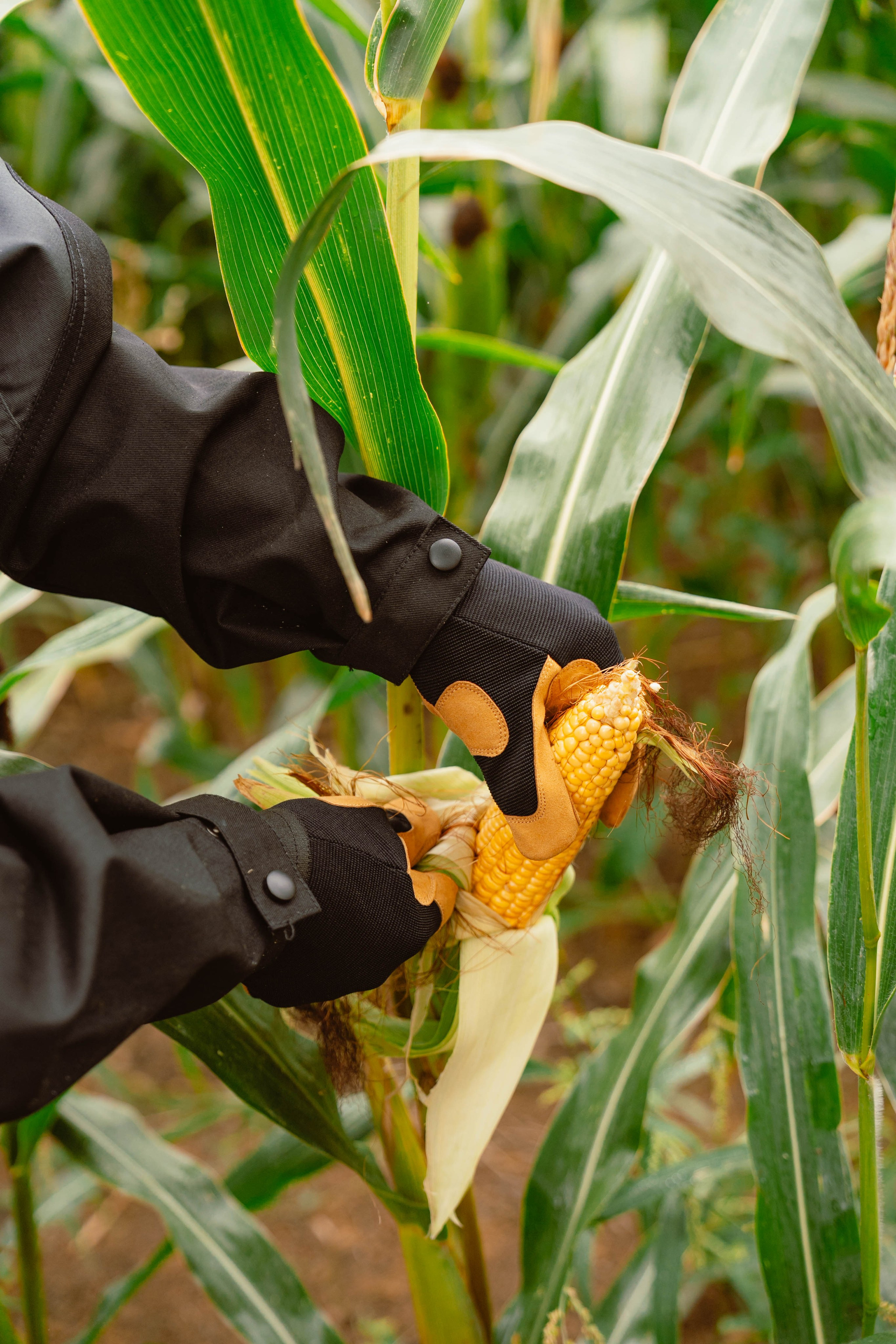 Solidur. Weeding photographer / event / portrait