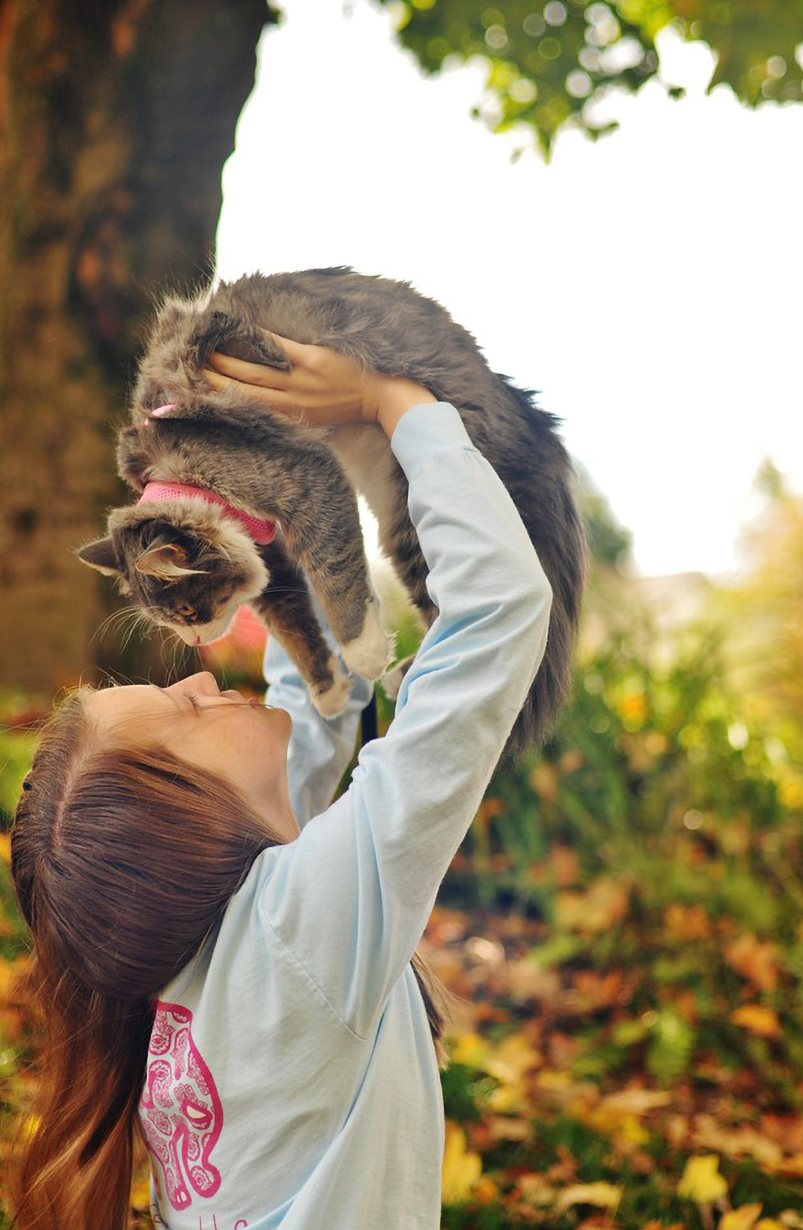 Animal de Compagnie. Studioplaza8