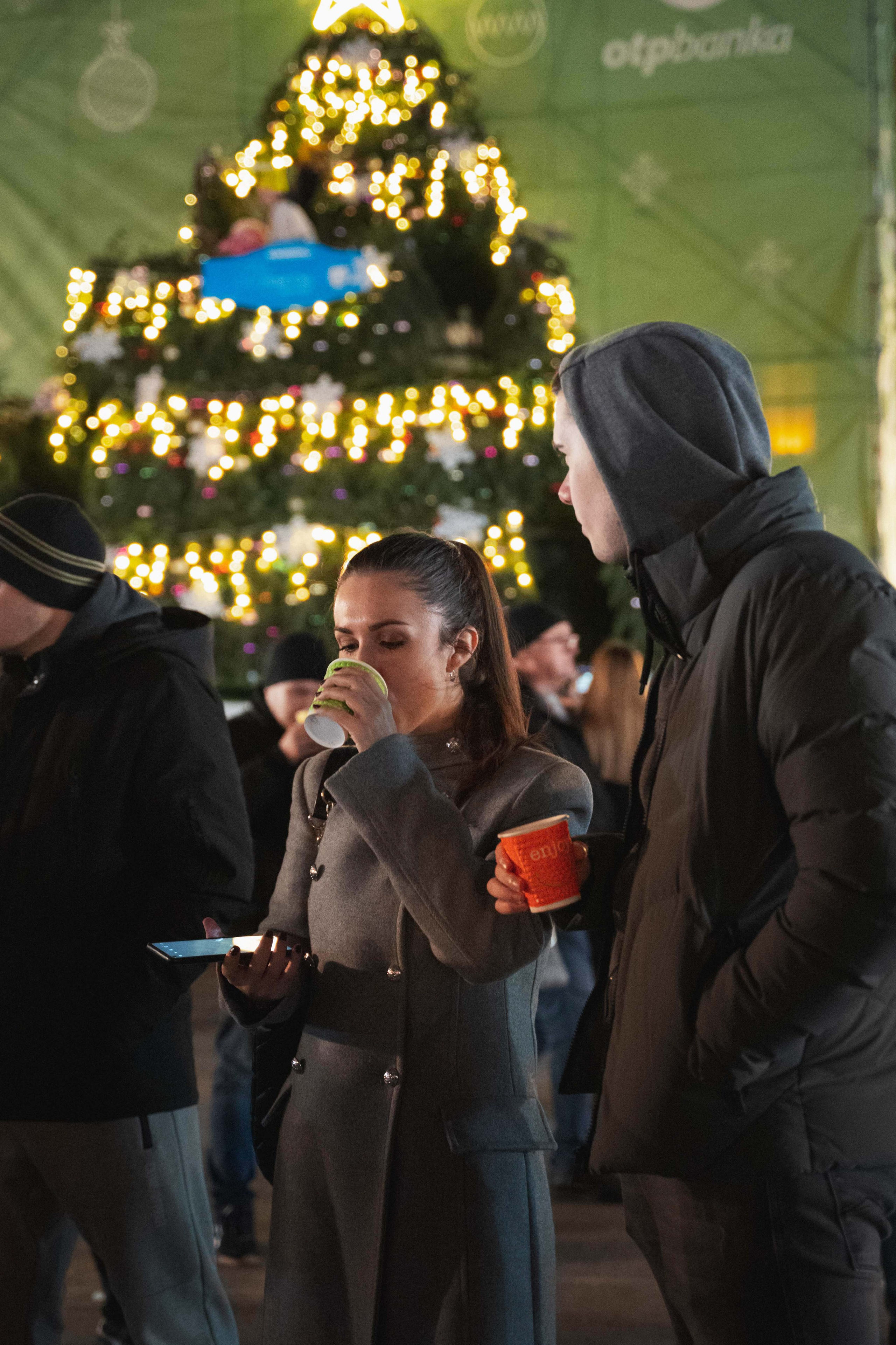 Novosadski Zimzolend. Жуков Студио