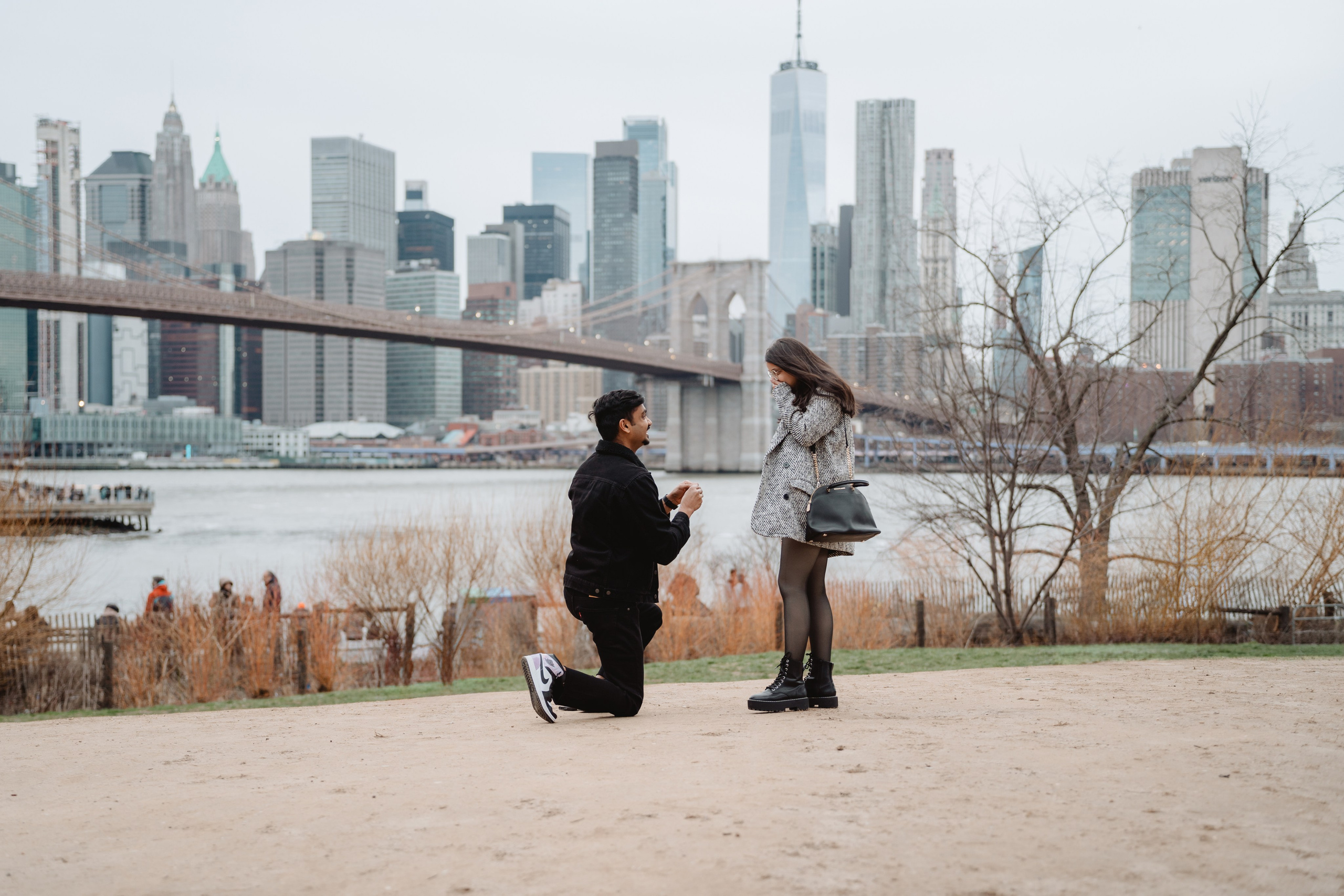 Sarthak&Aishwarya Proposal. Photographer in New York Faery By Mary