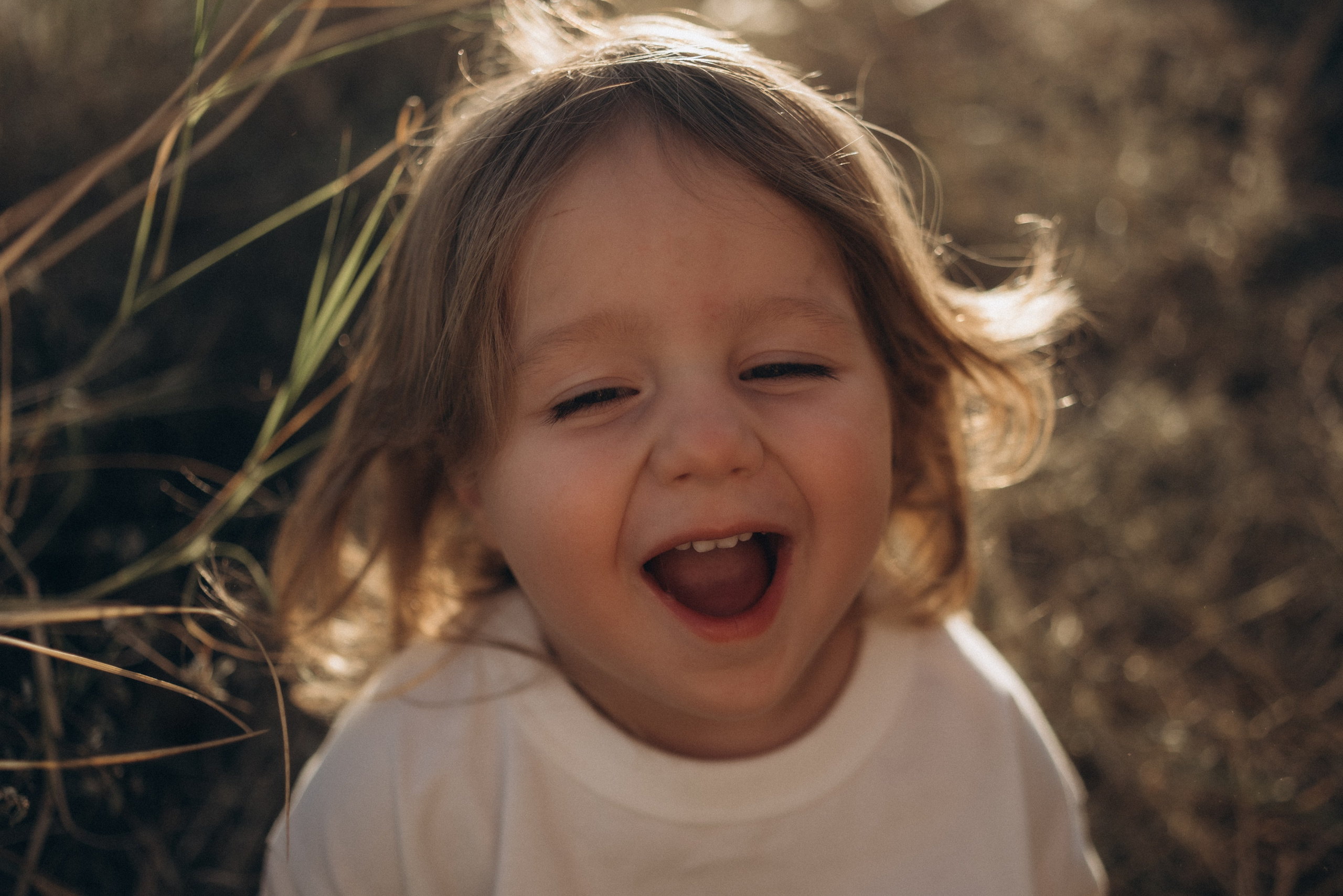 Autumn Story. Lens Captures Life