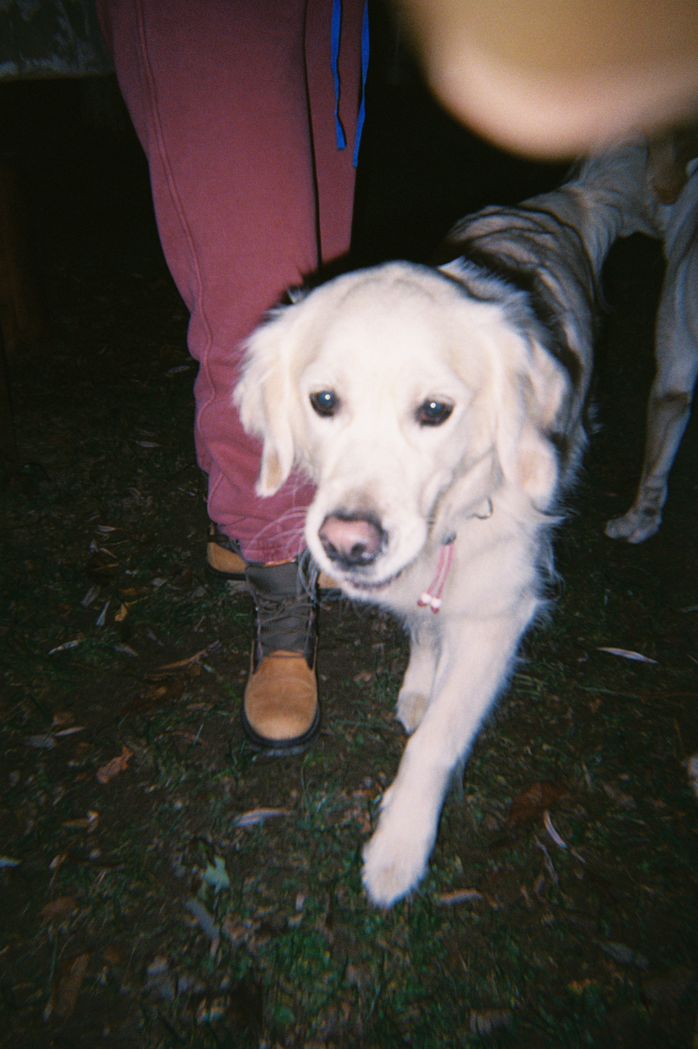 Teambuilding Digital Partners