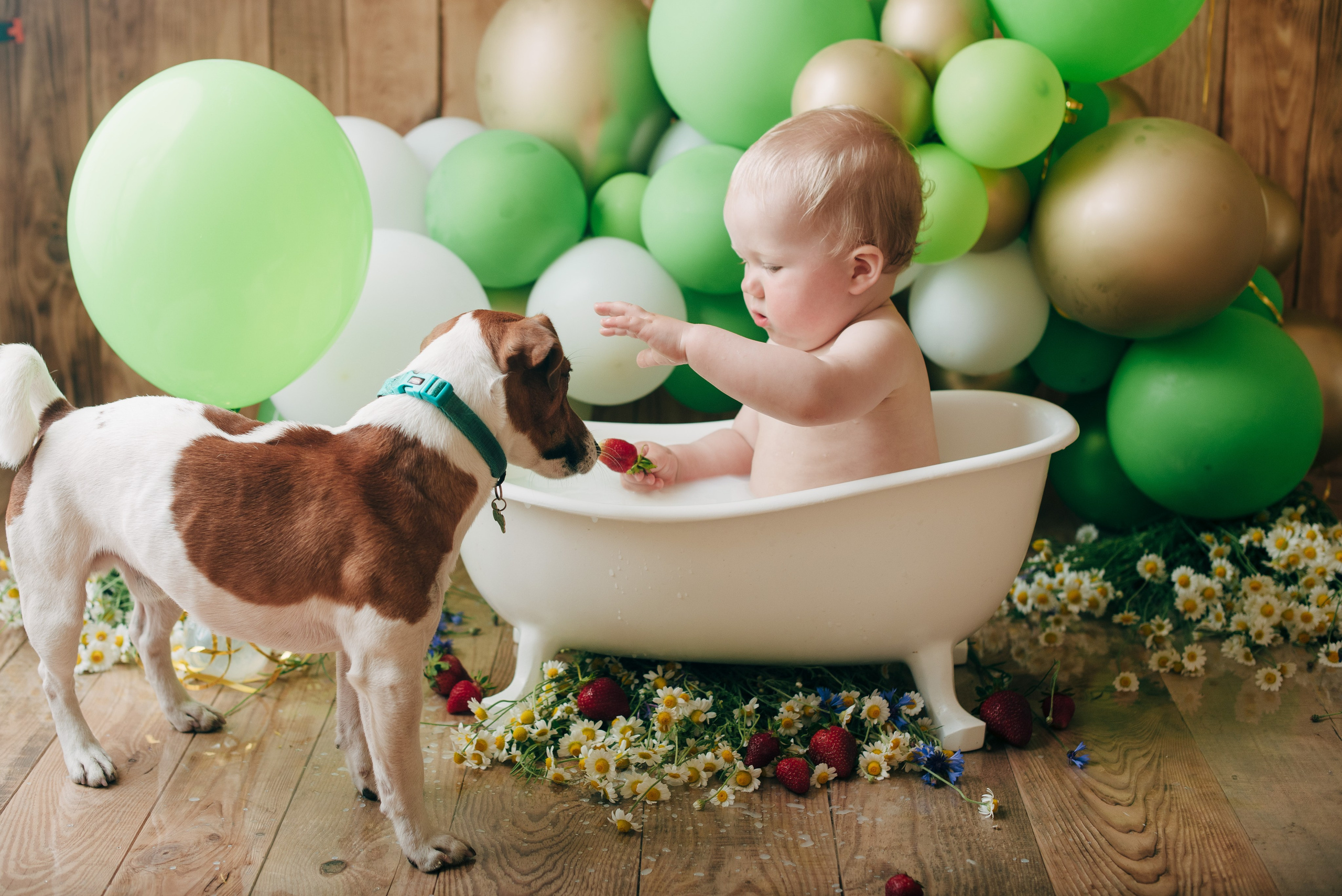 SVYATOSLAV. Https://newbornphoto.wfolio.pro/me