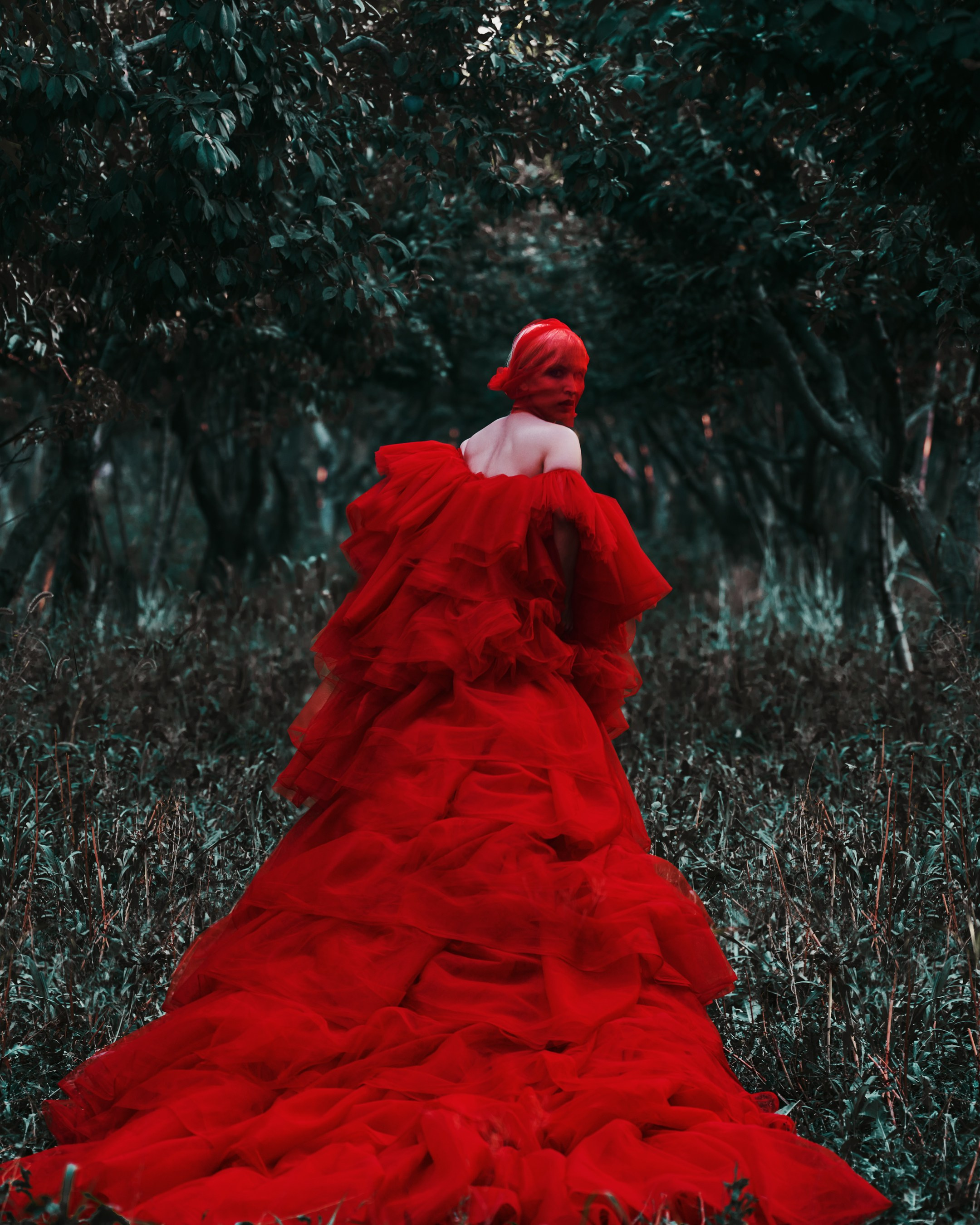 Fashion. Alireza Sahebi Photographer