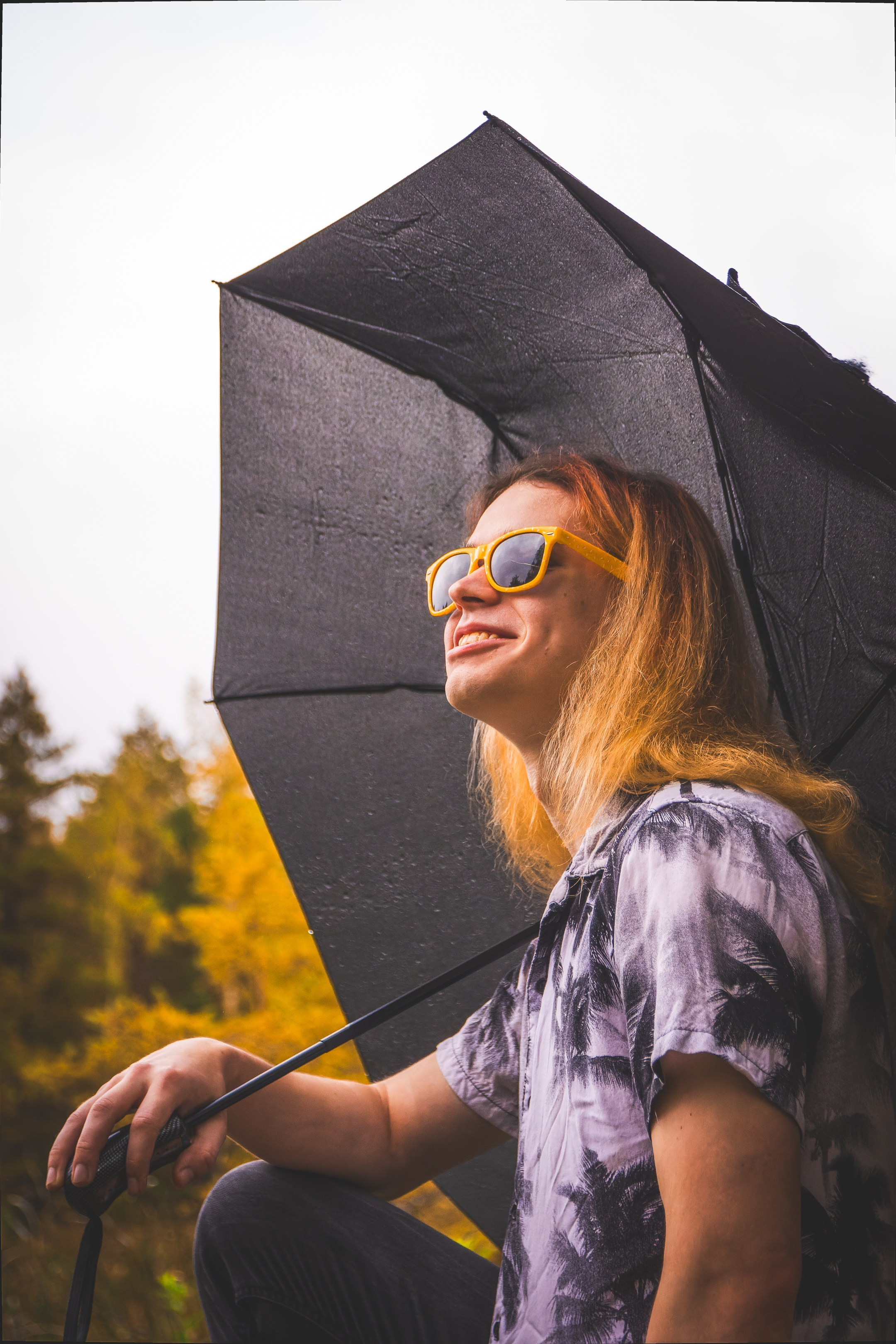 Mets, vihm ja jahedus (Dimitry)