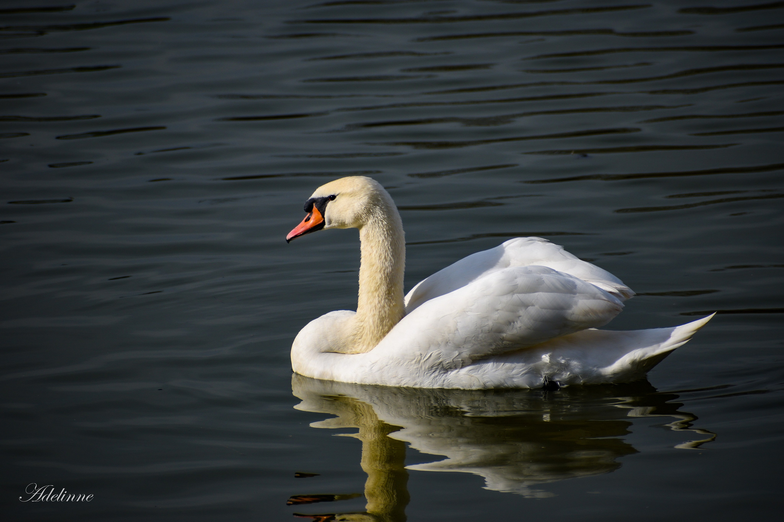 Nature❤️. Adelinne