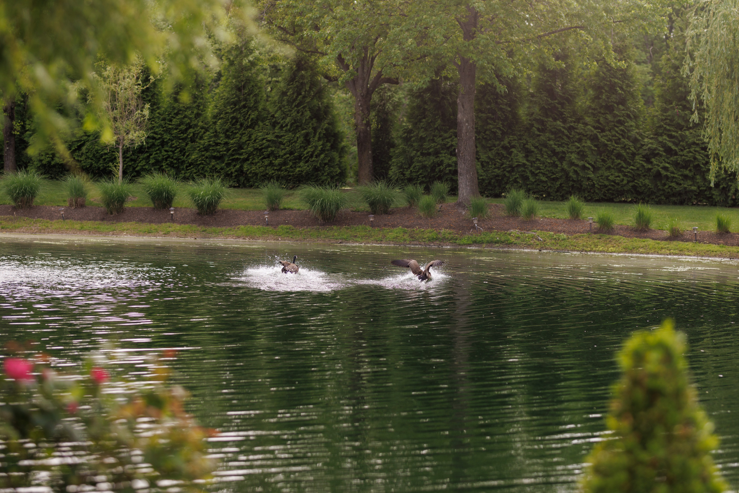 Jen & Wei, The Mansion on Main Street, NJ. Wedding Photo & Video
