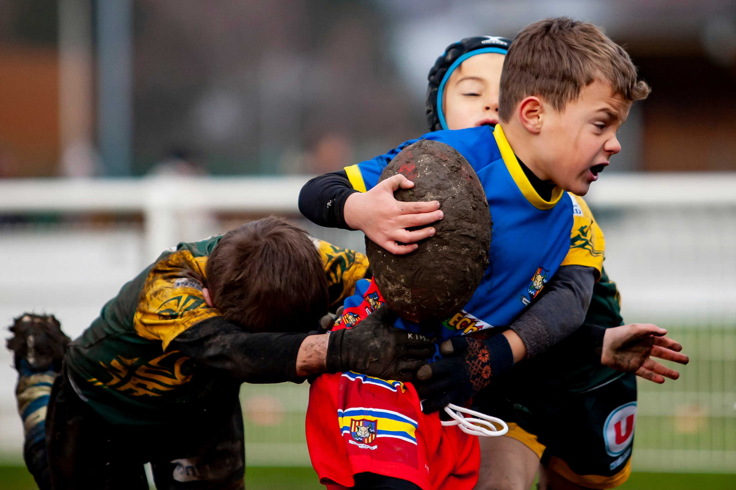 CLIENTS. OLGA REPTIK