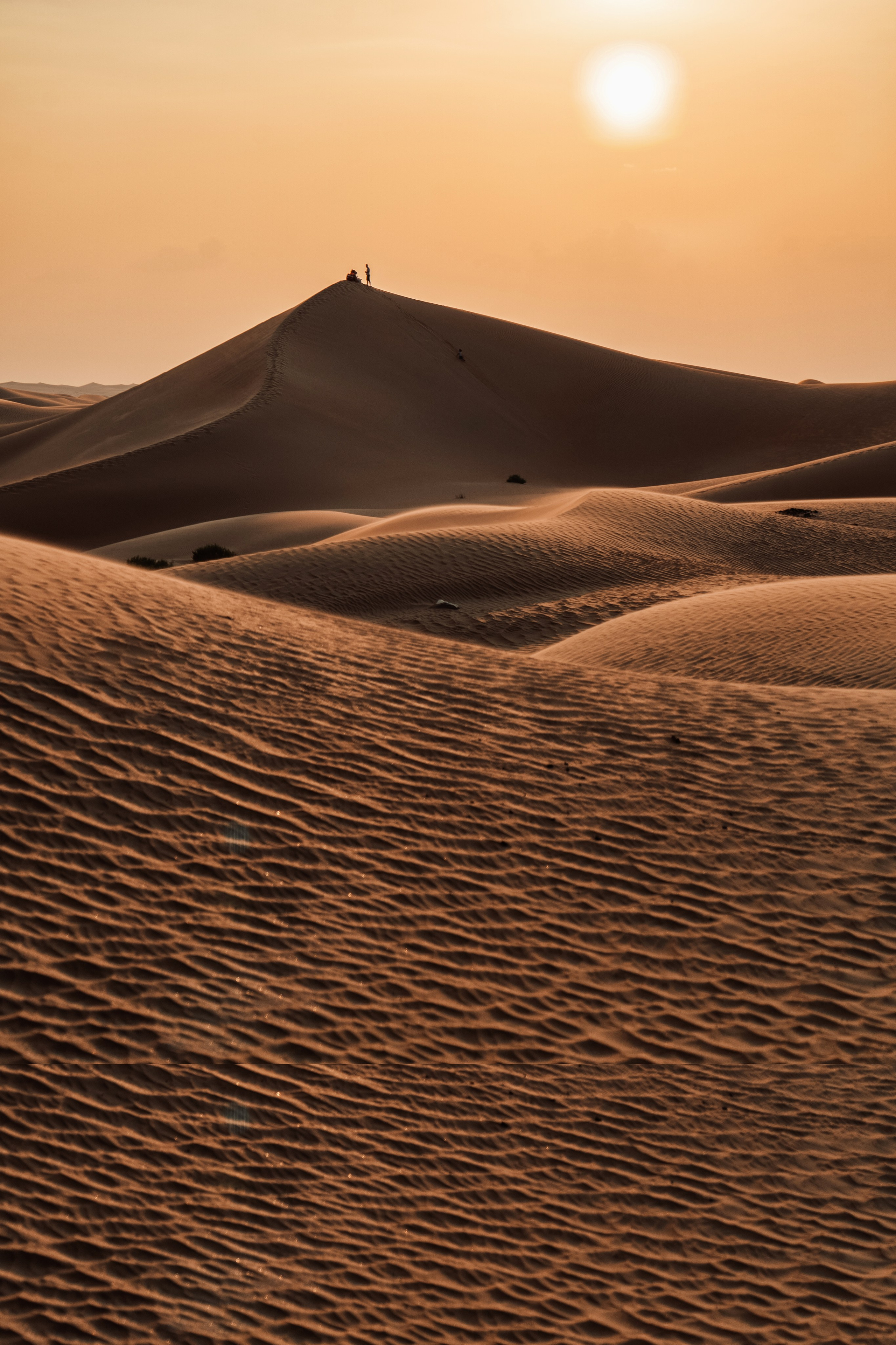 Beautiful photos of the desert. Filming in the desert. Abu Dhabi. Dubai. Photographer in Abu Dhabi. The best photos of your vacation