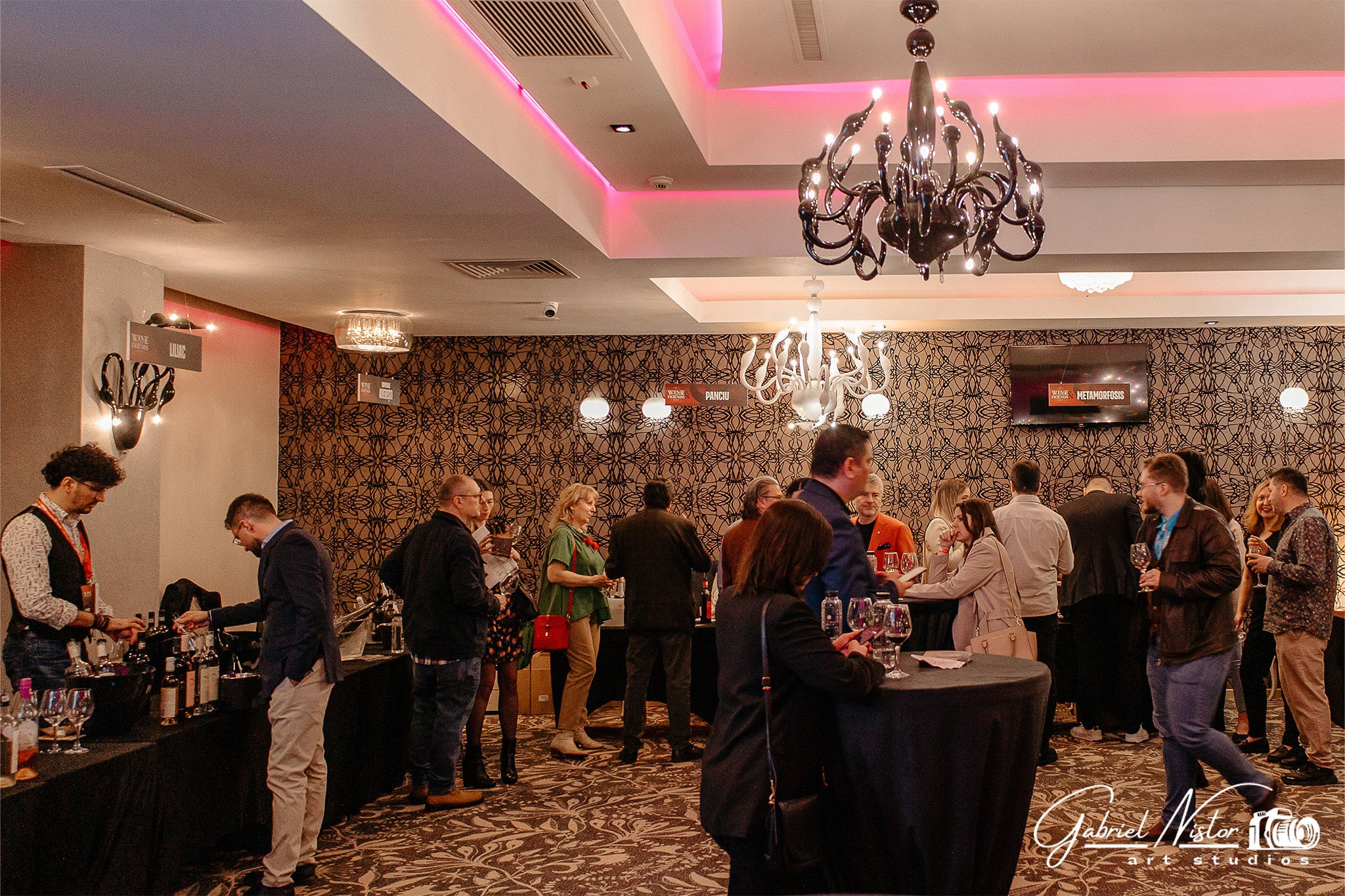 Pleiada Iasi - Wine & Friends. Gabriel Nistor Art-Studios — Photographer / Videographer Iasi