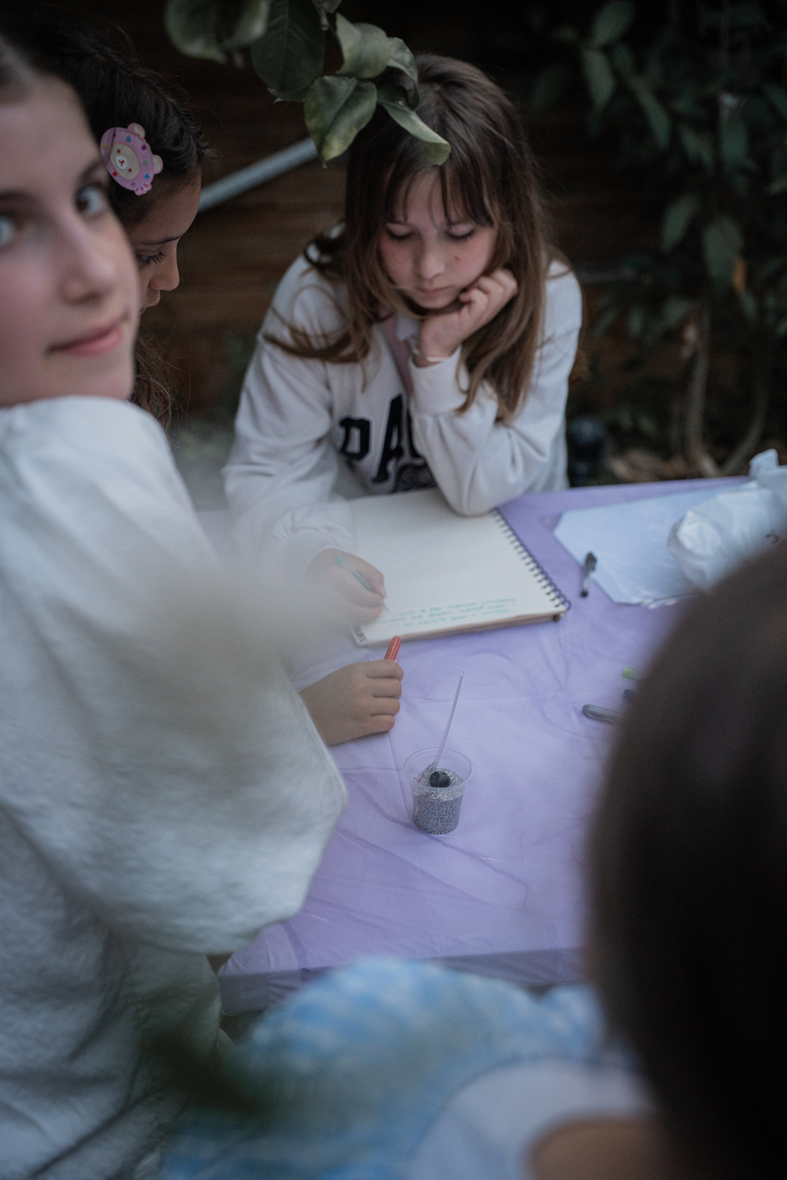 Maayan & Family, Bat Mitzvah, Netanya, June 2026. Divign By Tehilah — Meaningful Graphic Design & Photography