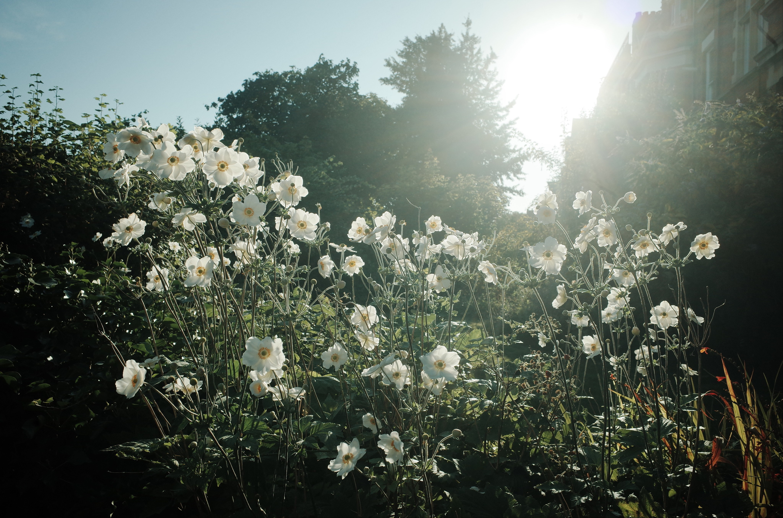 Angry walk of not belonging. Victoria Dini. Art photography in London / Folkestone, UK