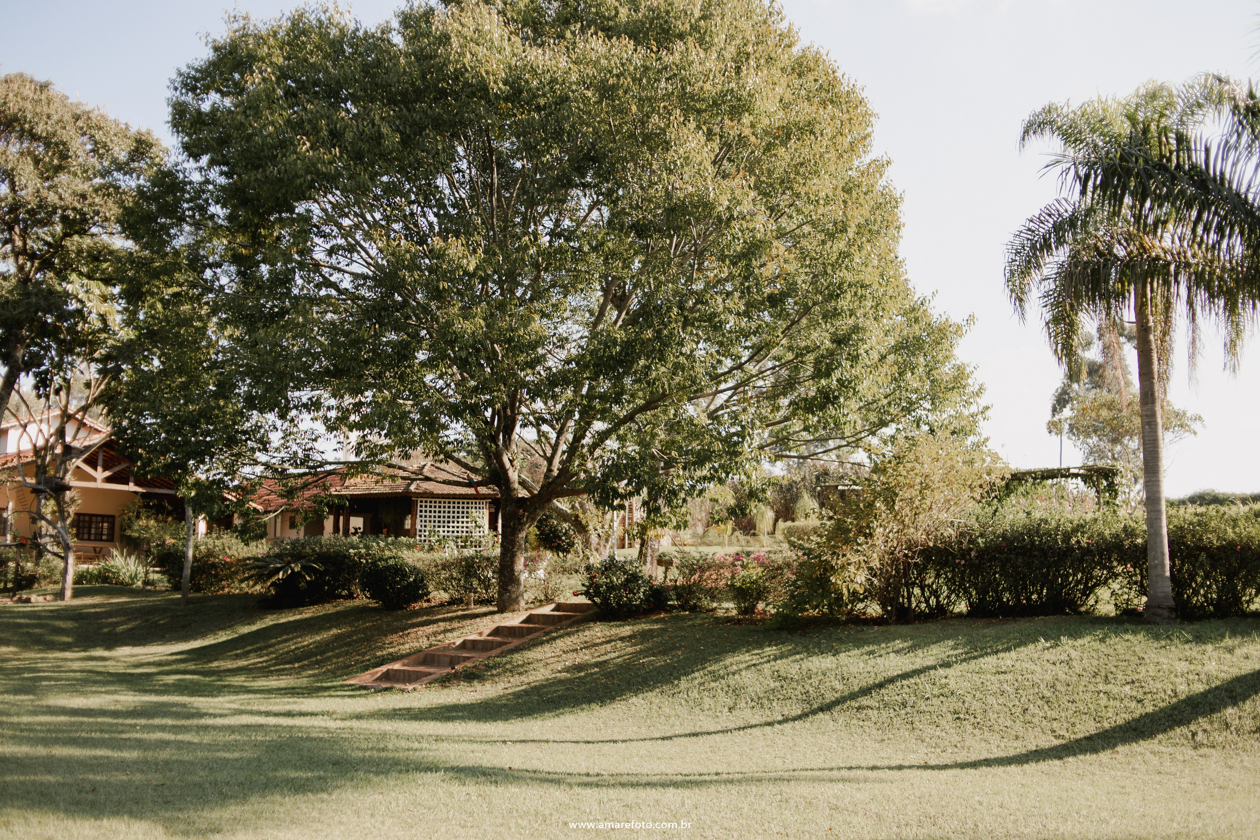 Editorial — Estância Jatobá