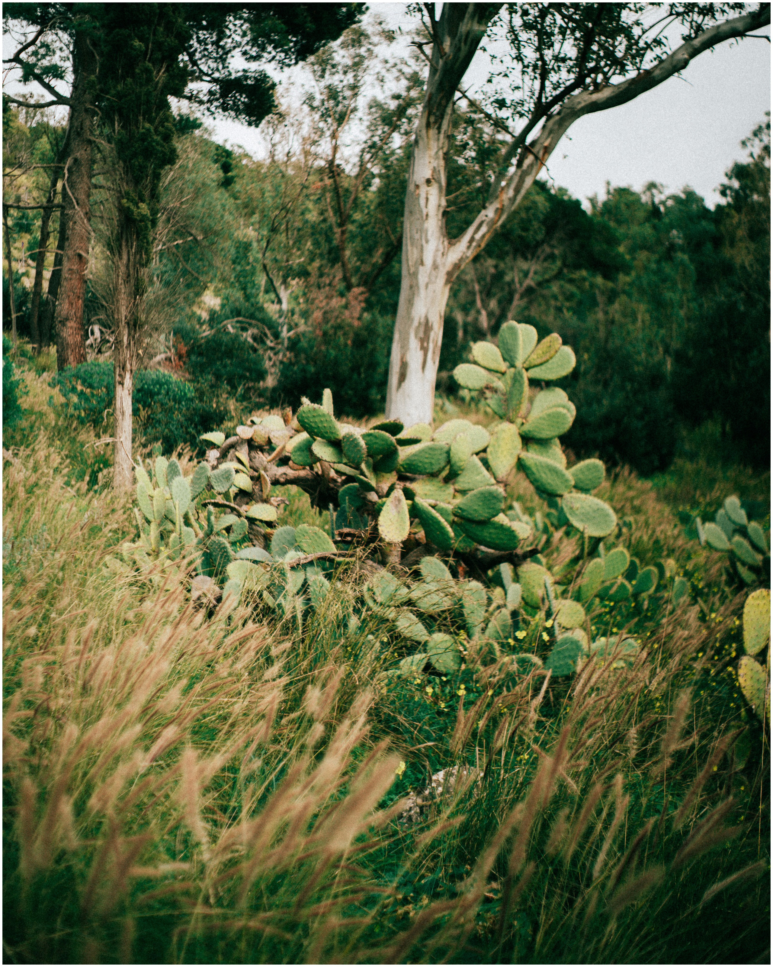 PALERMO. Photographer Inna Mendelson