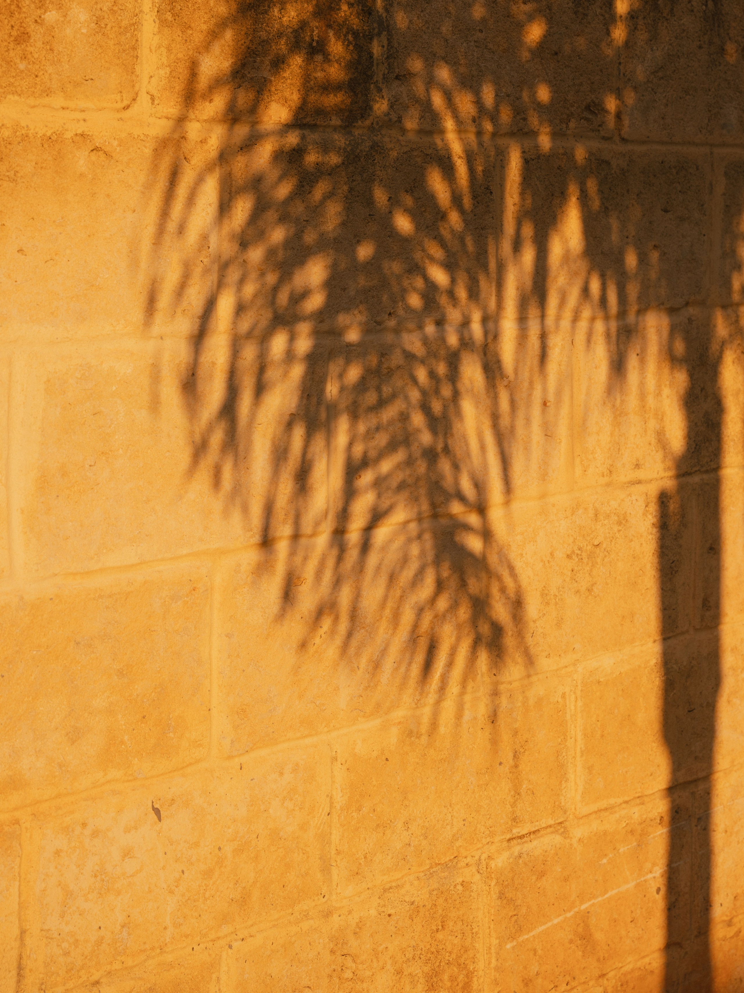 Content | Food | Objects. Alyona Nikolaeva — fotografo a Lecce