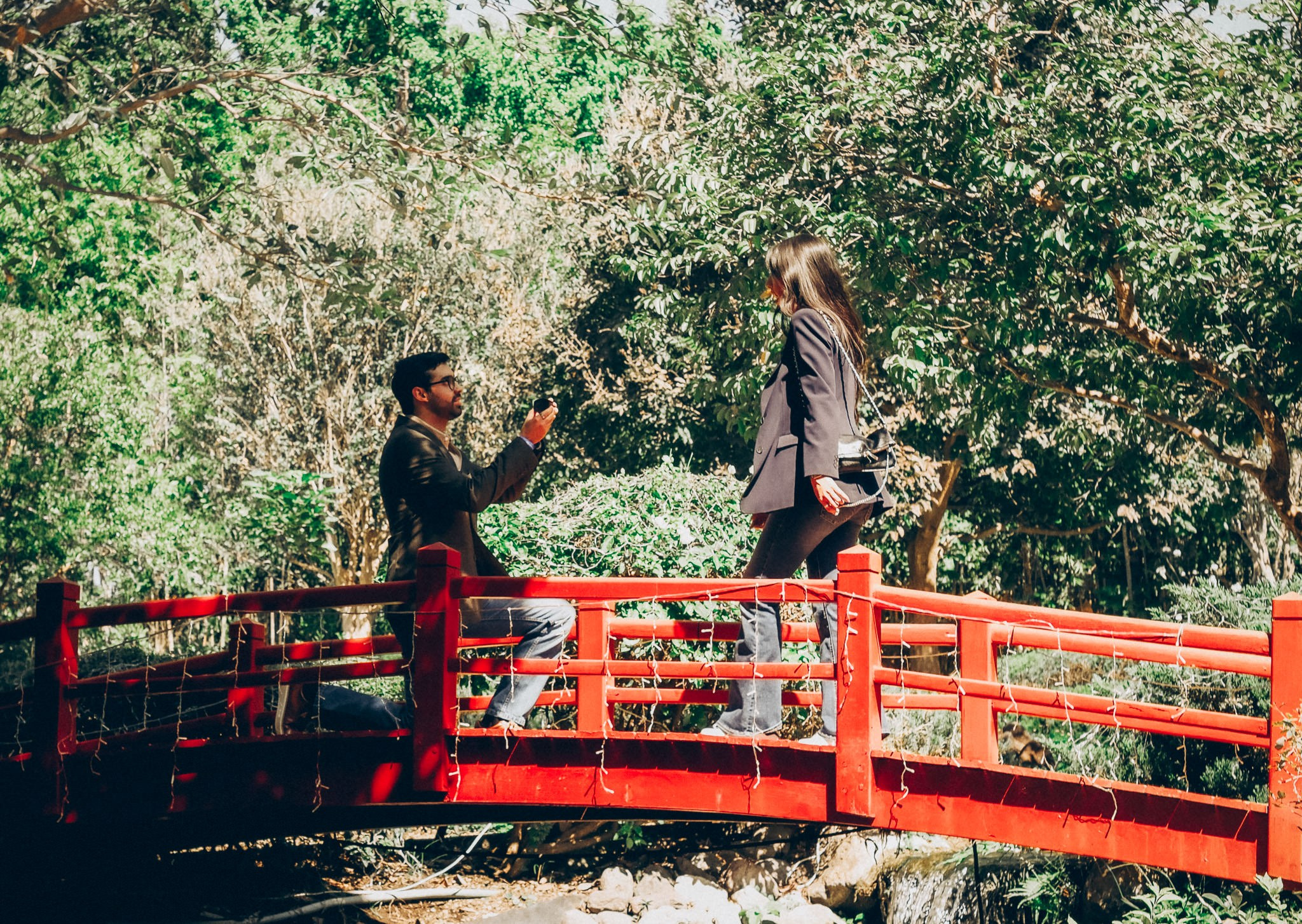 Alba & Jeronimo. Wedding and family photographer in Mexico City