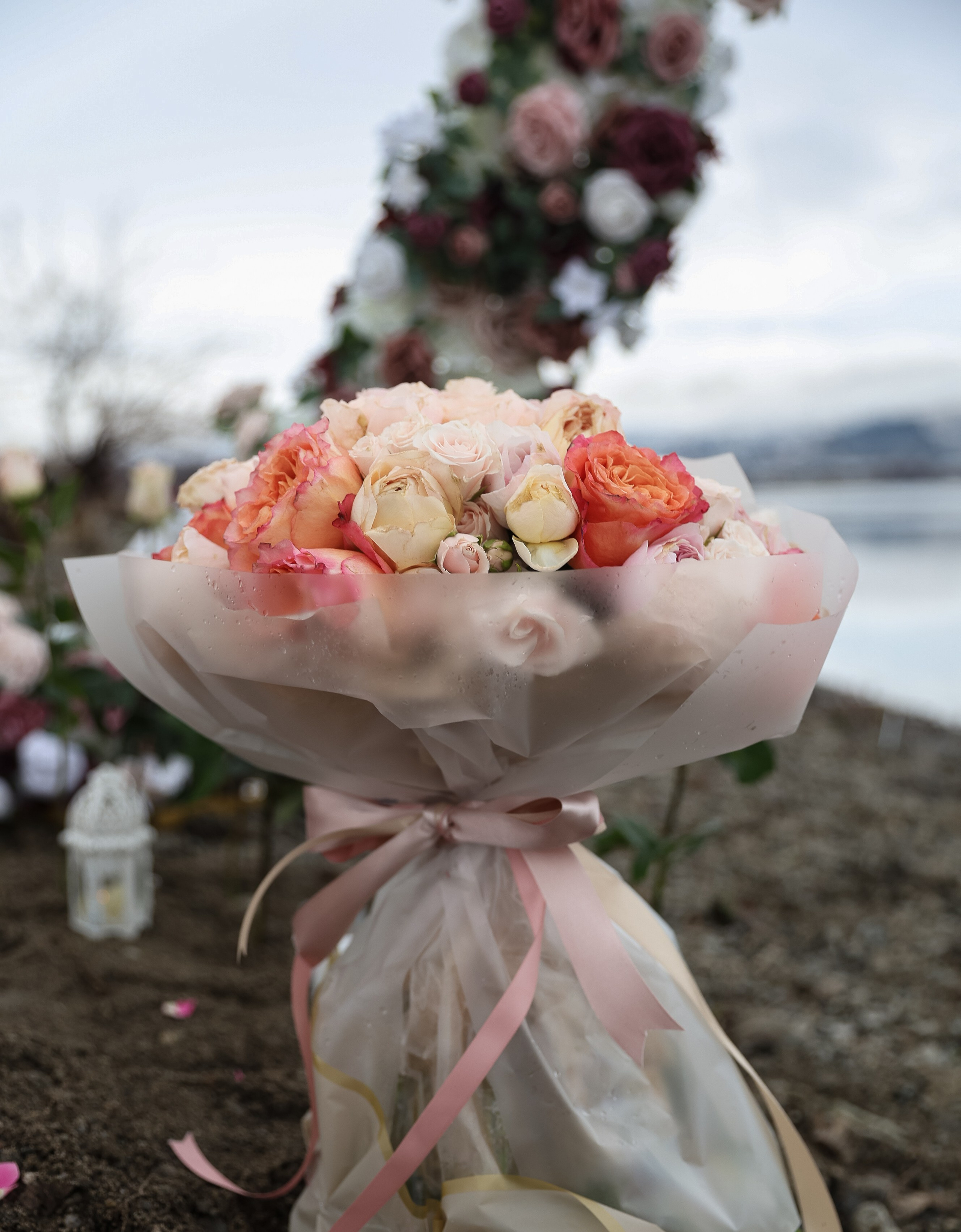 Proposal Photo Session. Family and Wedding photographer