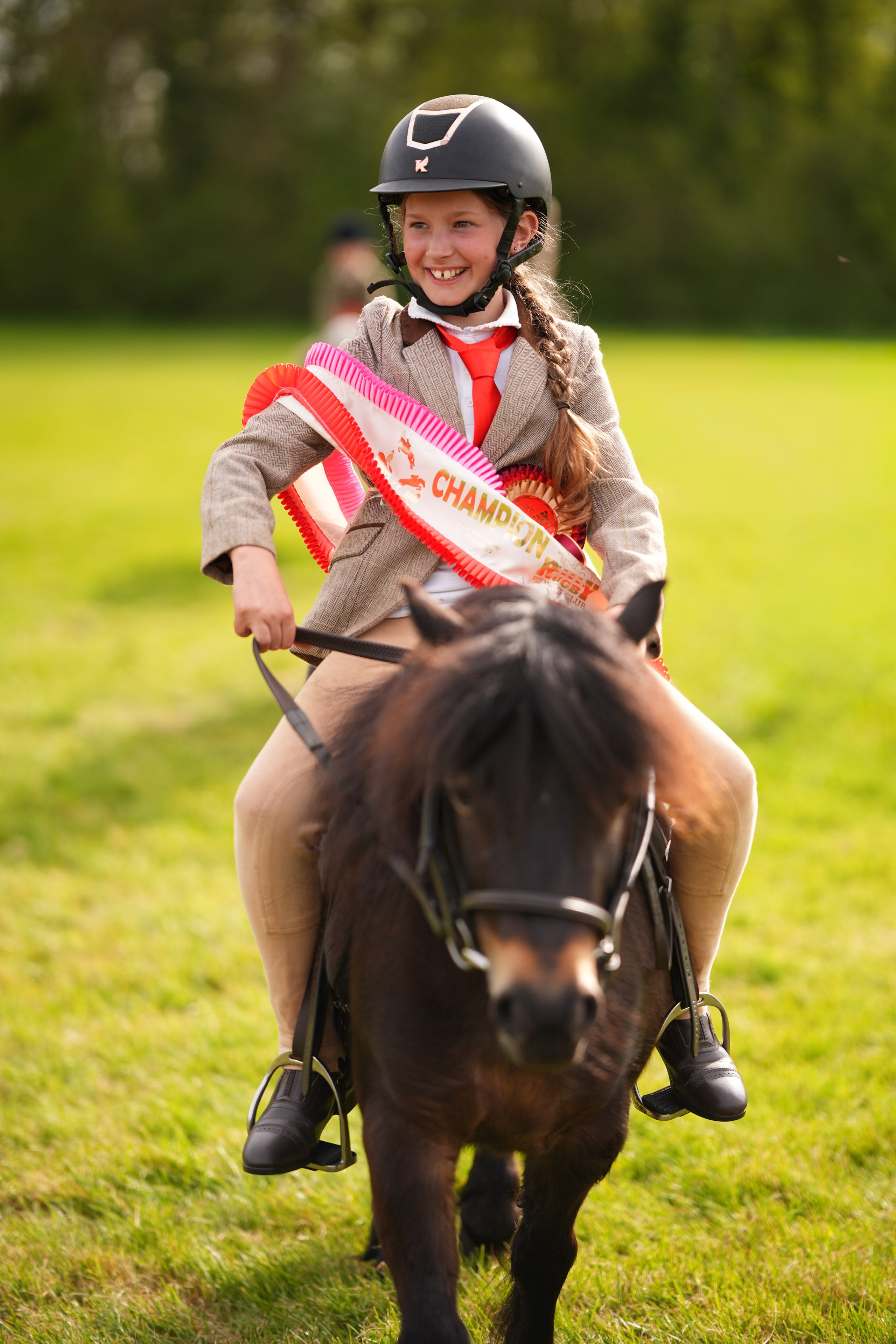 Showing. Leicestershire Equine Photography by El | Authentic Equine Portraits & Events