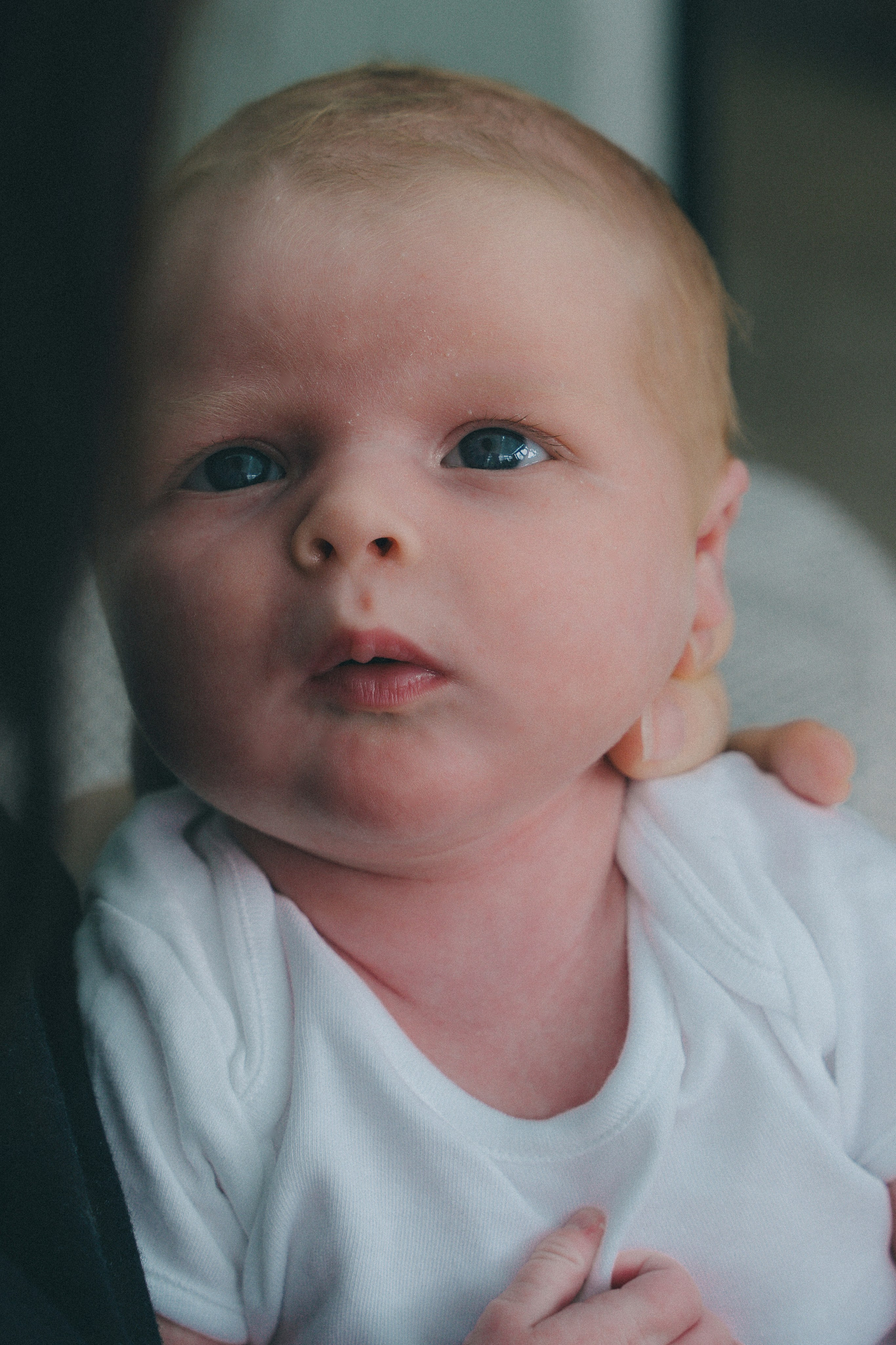 Sadie. Irina Zoteeva | Photographer in Solihull & Birmingham | Family, Newborn, Boudoir & Wedding