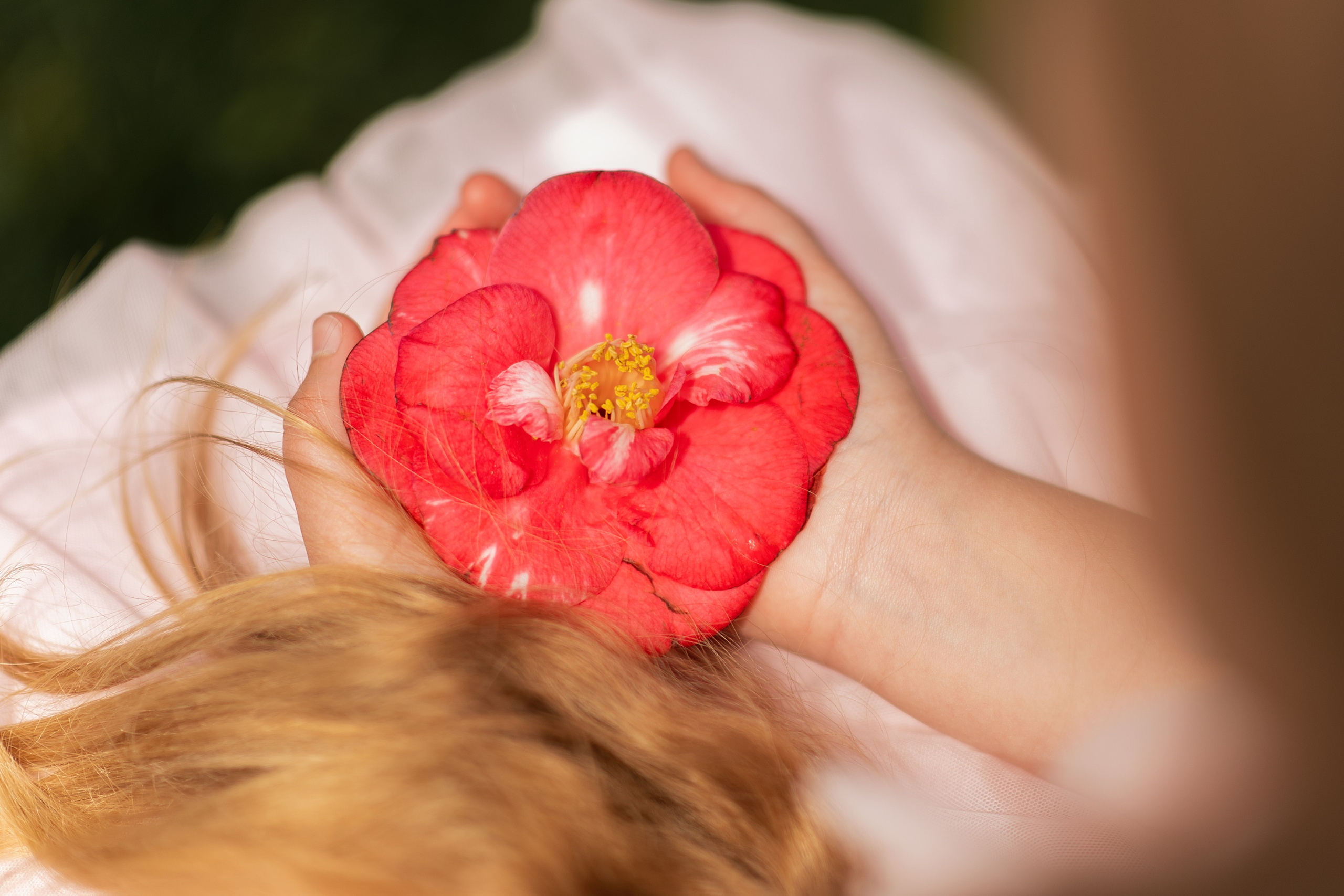 Lilac garden. Wedding & portrait photography in the Seattle Area. Helen Michelle photographer