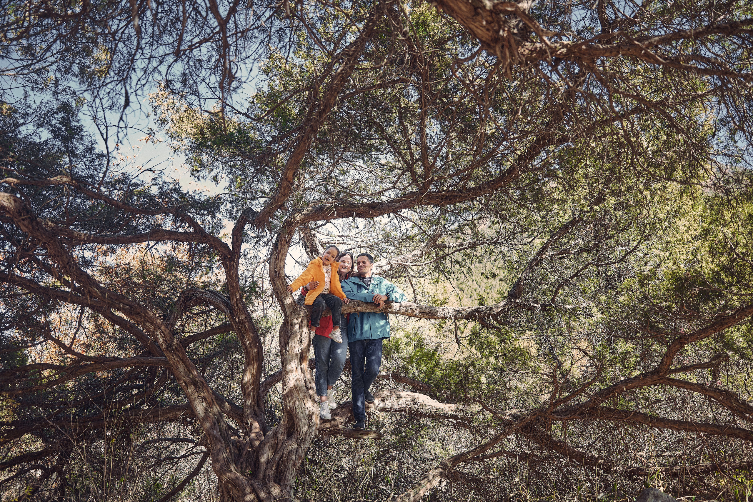 Осеняя прогулка. Валерия Вартанова. Фотограф