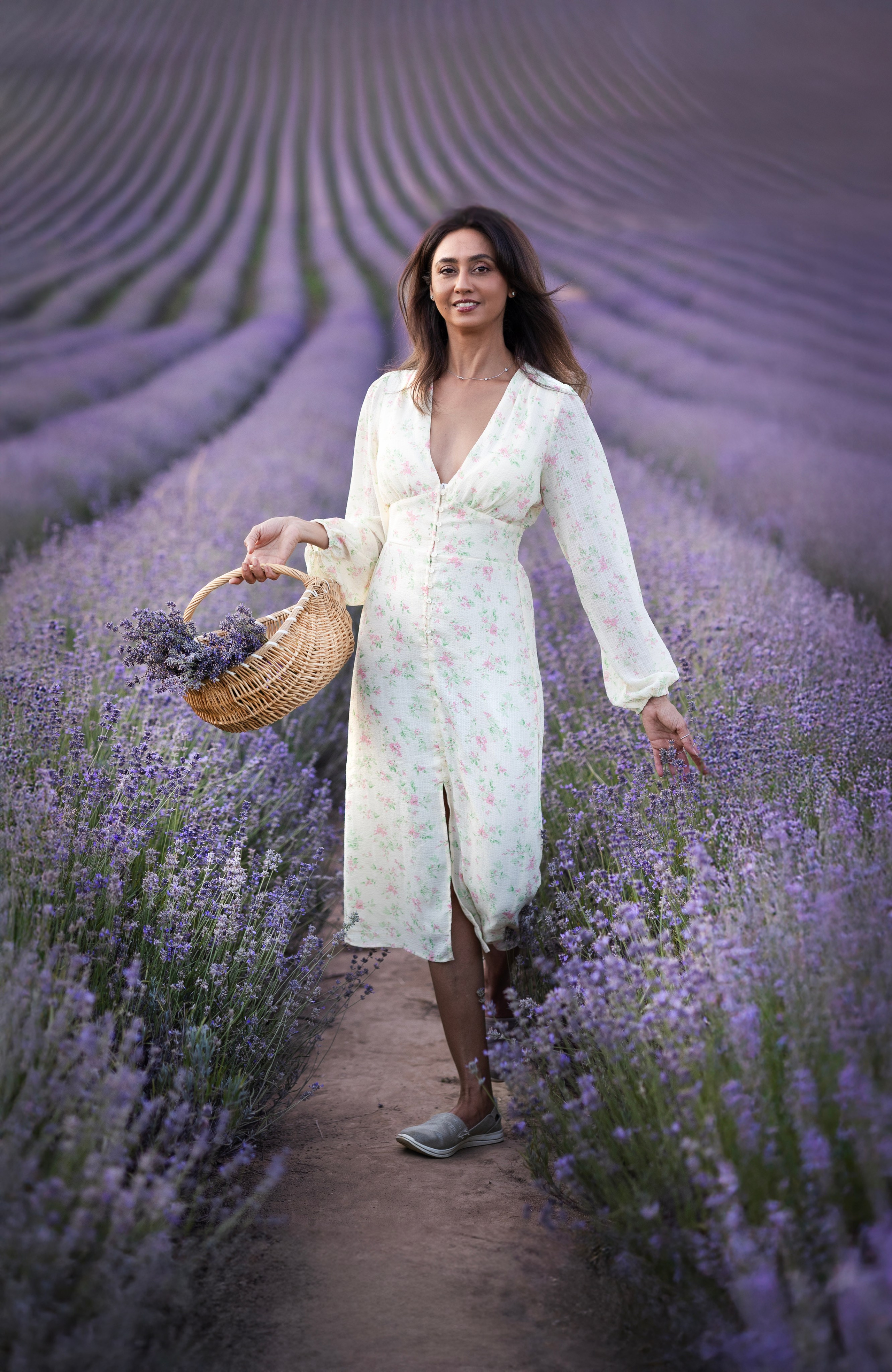 Lavendel. Photographer in Munich