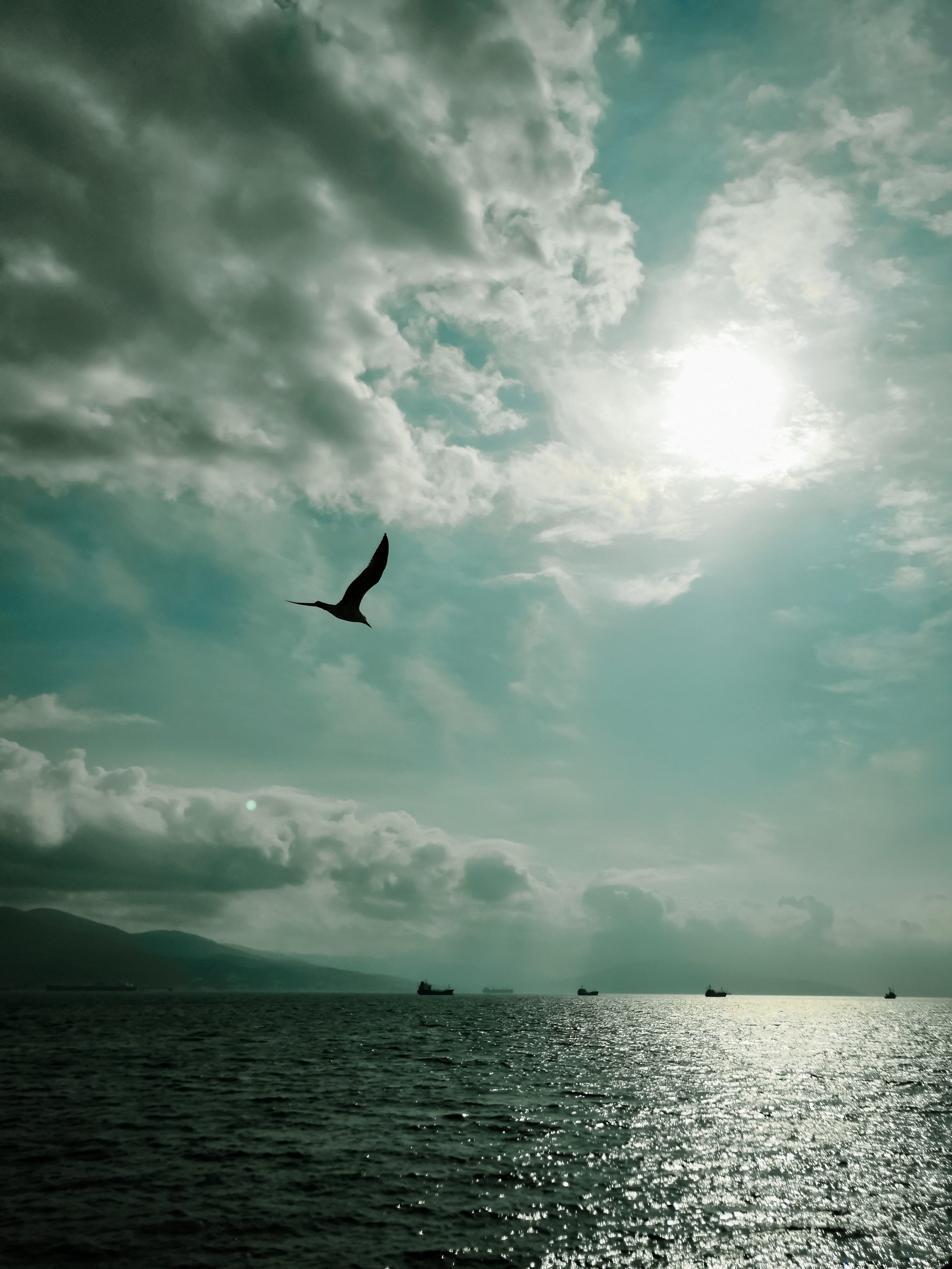 Novorossiysk in pictures of travel photographer. Victoria Fedoseenko. Photographer from Serbia