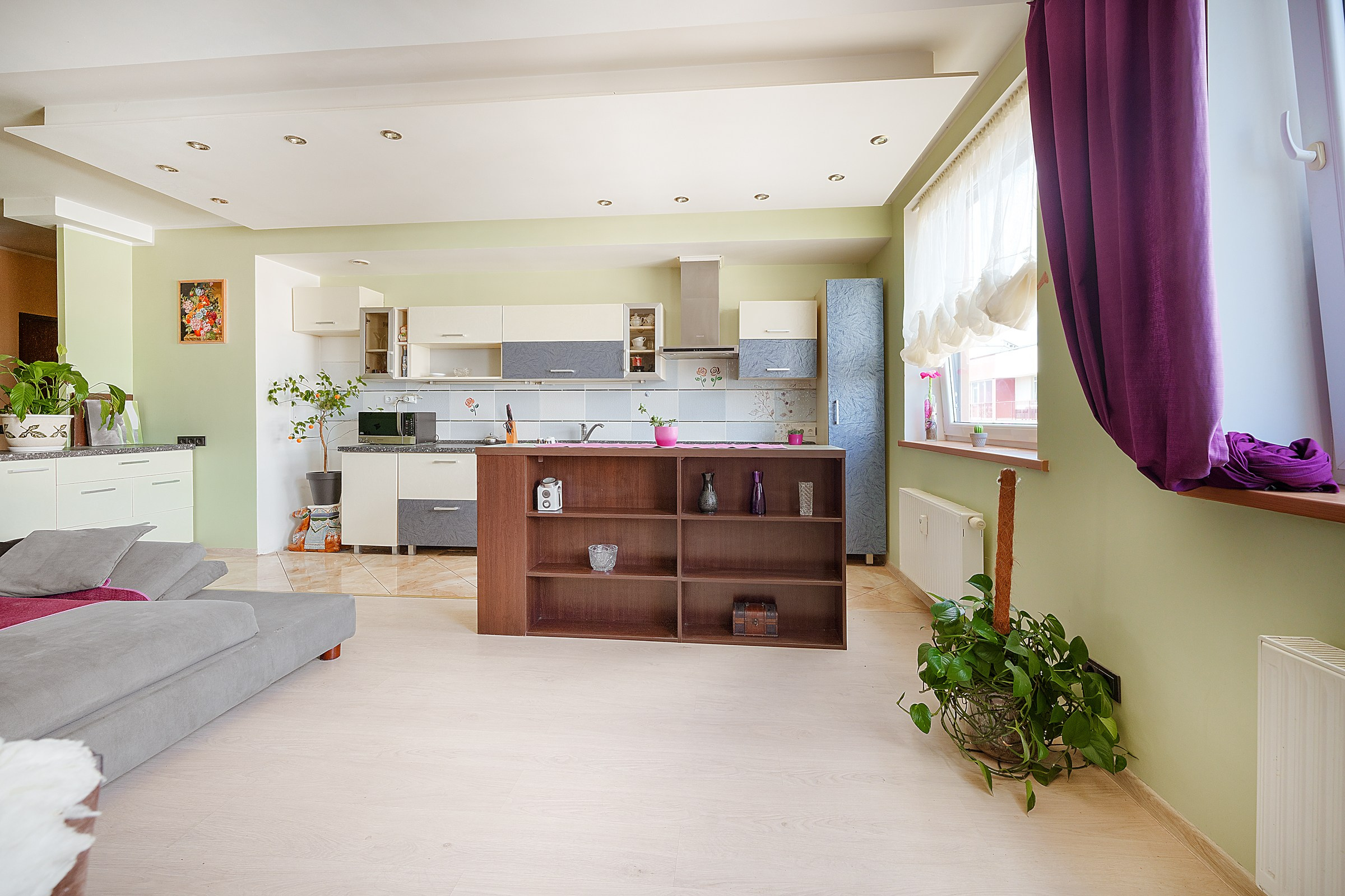 Perkūnkemio g. Elina Sapiega fotografė Vilniuje