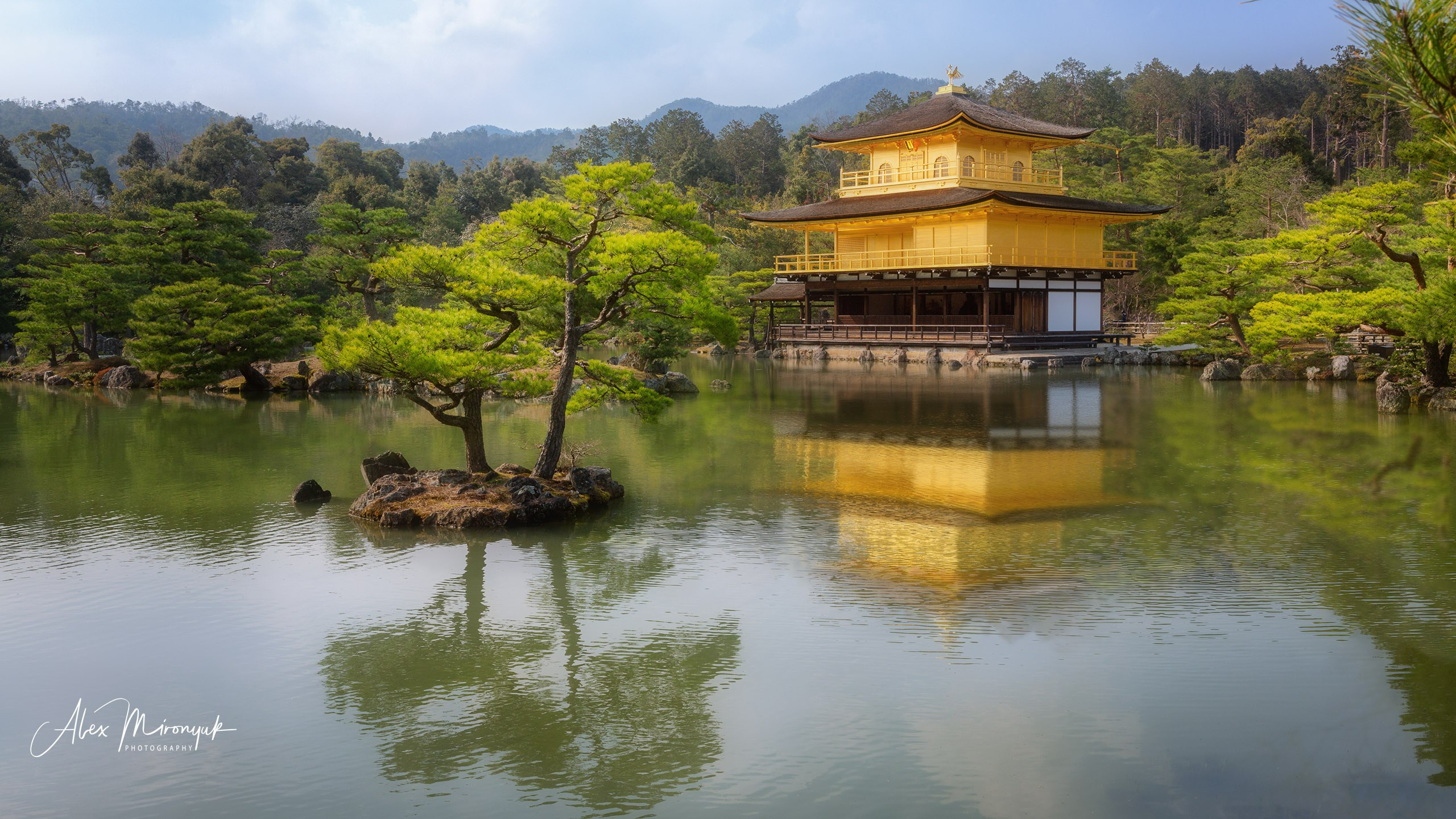 Hanami Season in Japan. Pet, Senior, Landscape, portrait studio, photographer in Miami and Sou