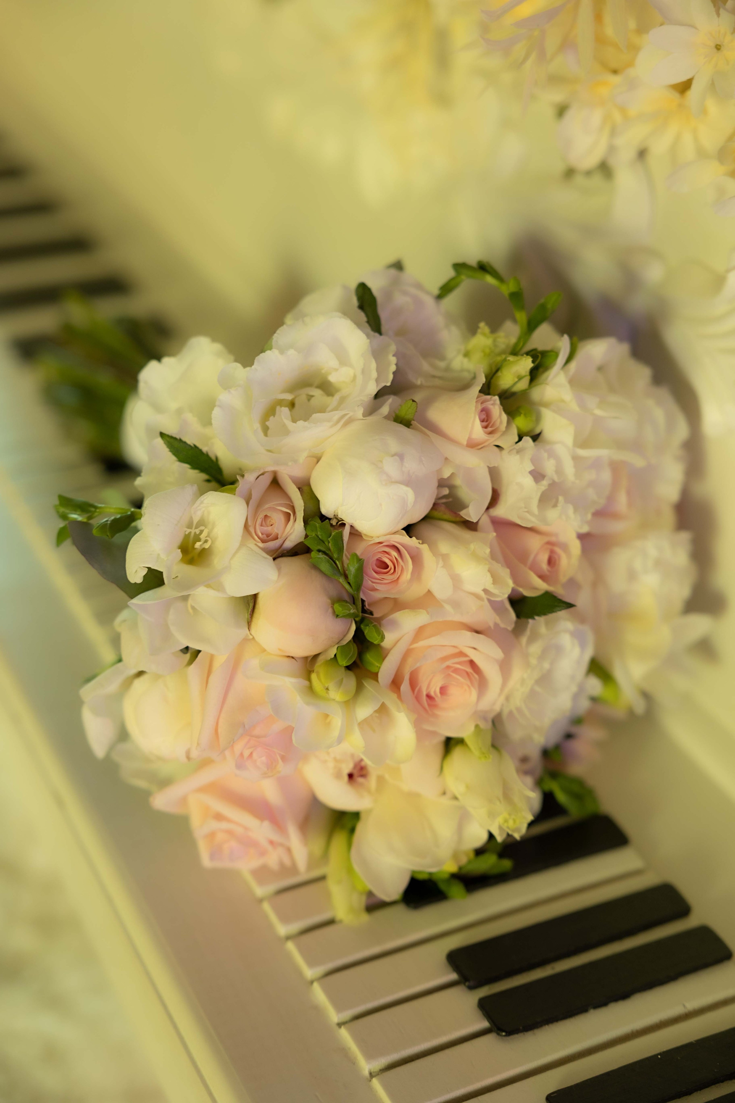 S & R. Portrait and Family Photographer in Netherlands