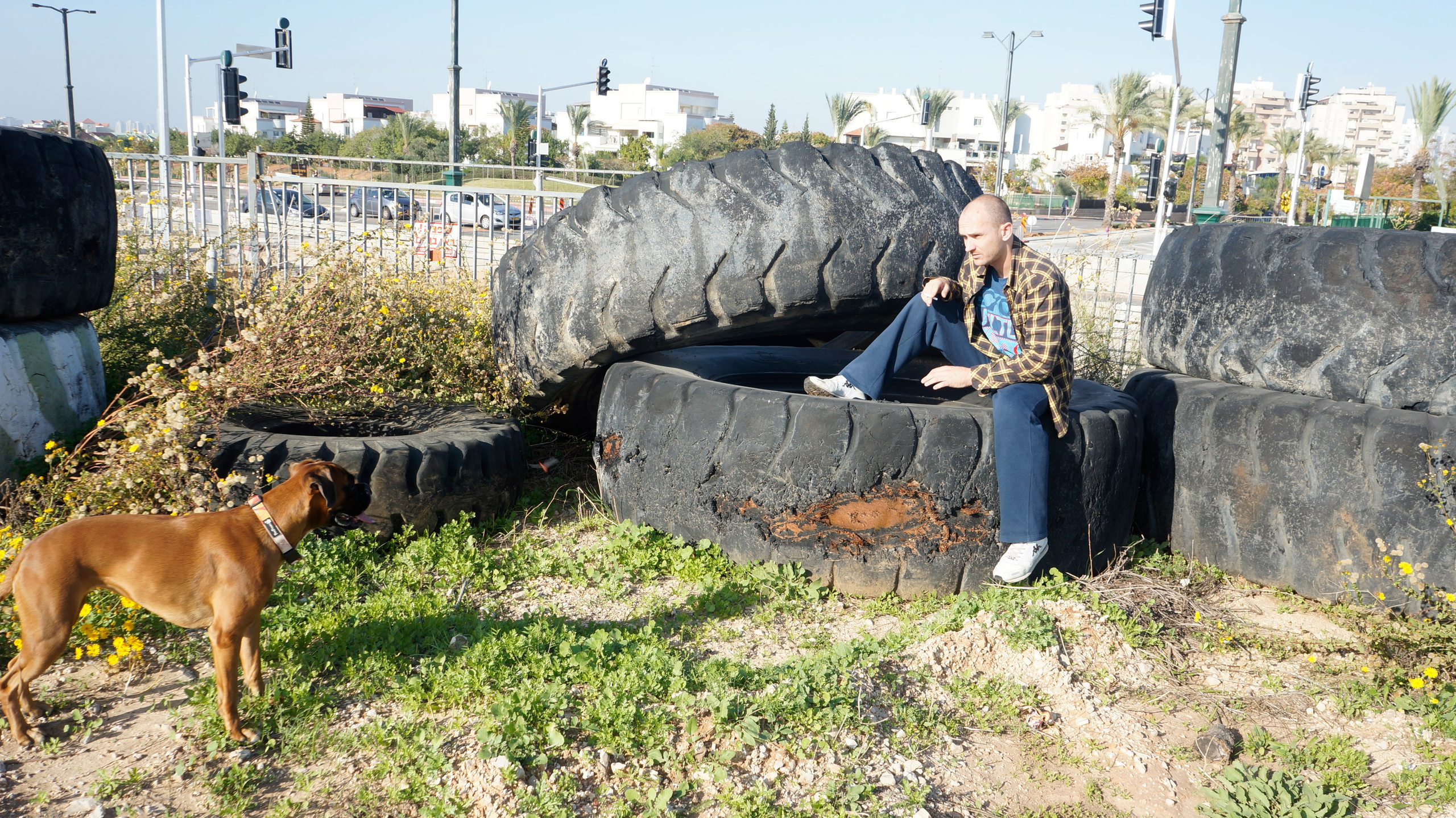 My ״Star״ Boxer Dog