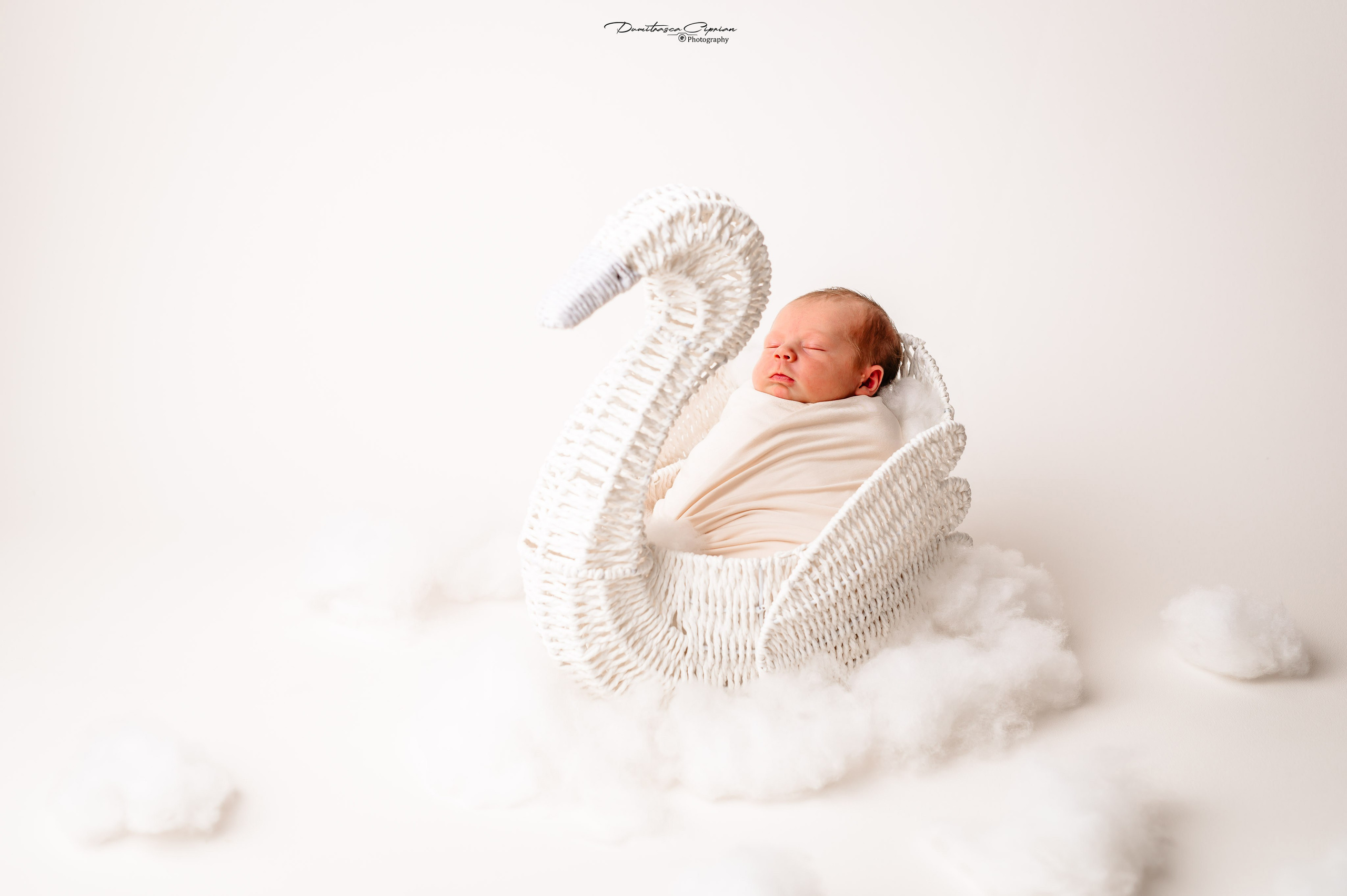 A sweet little angel. Dumitrasca Ciprian Photography