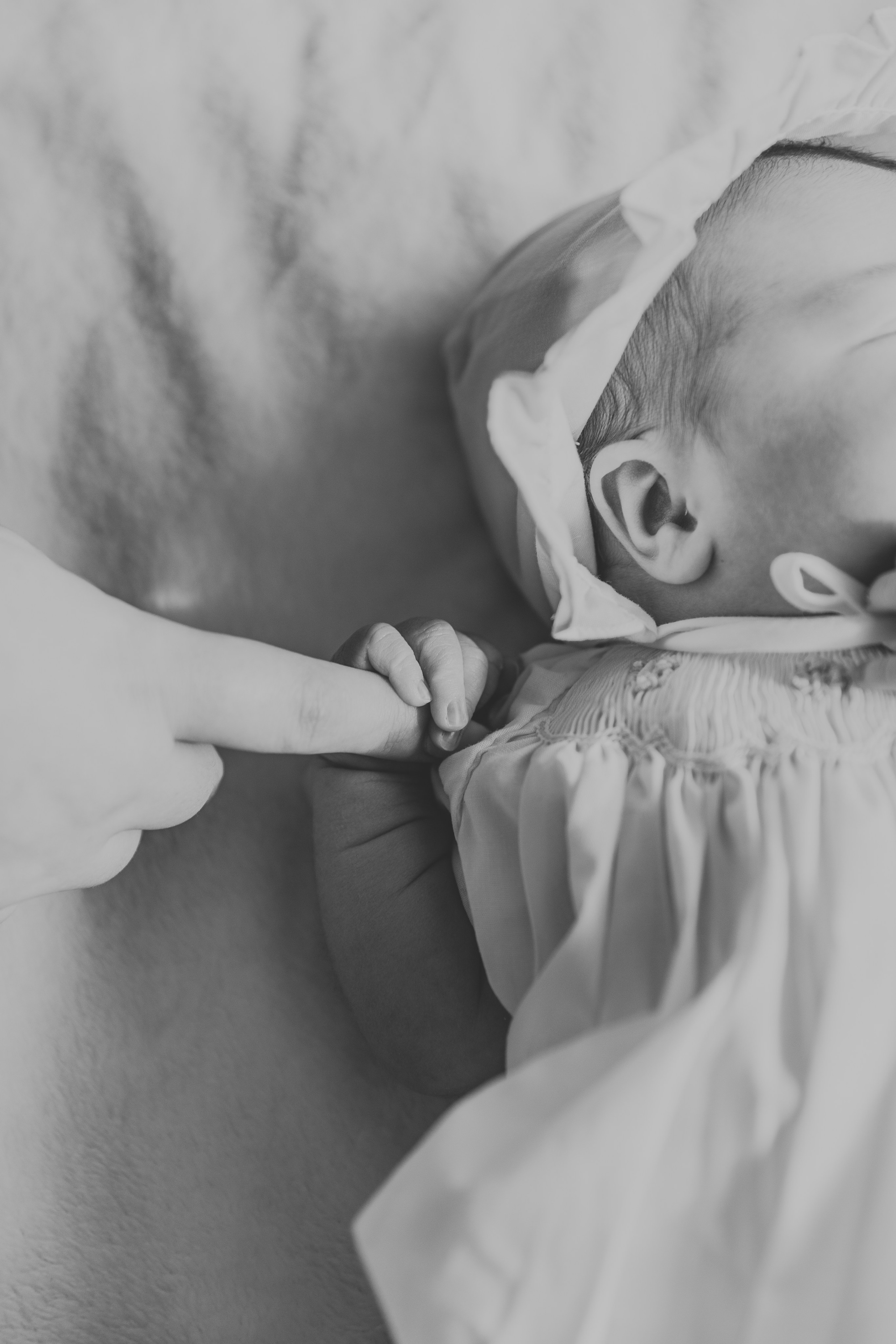 Newborn | In Home. Utah Family Photographer