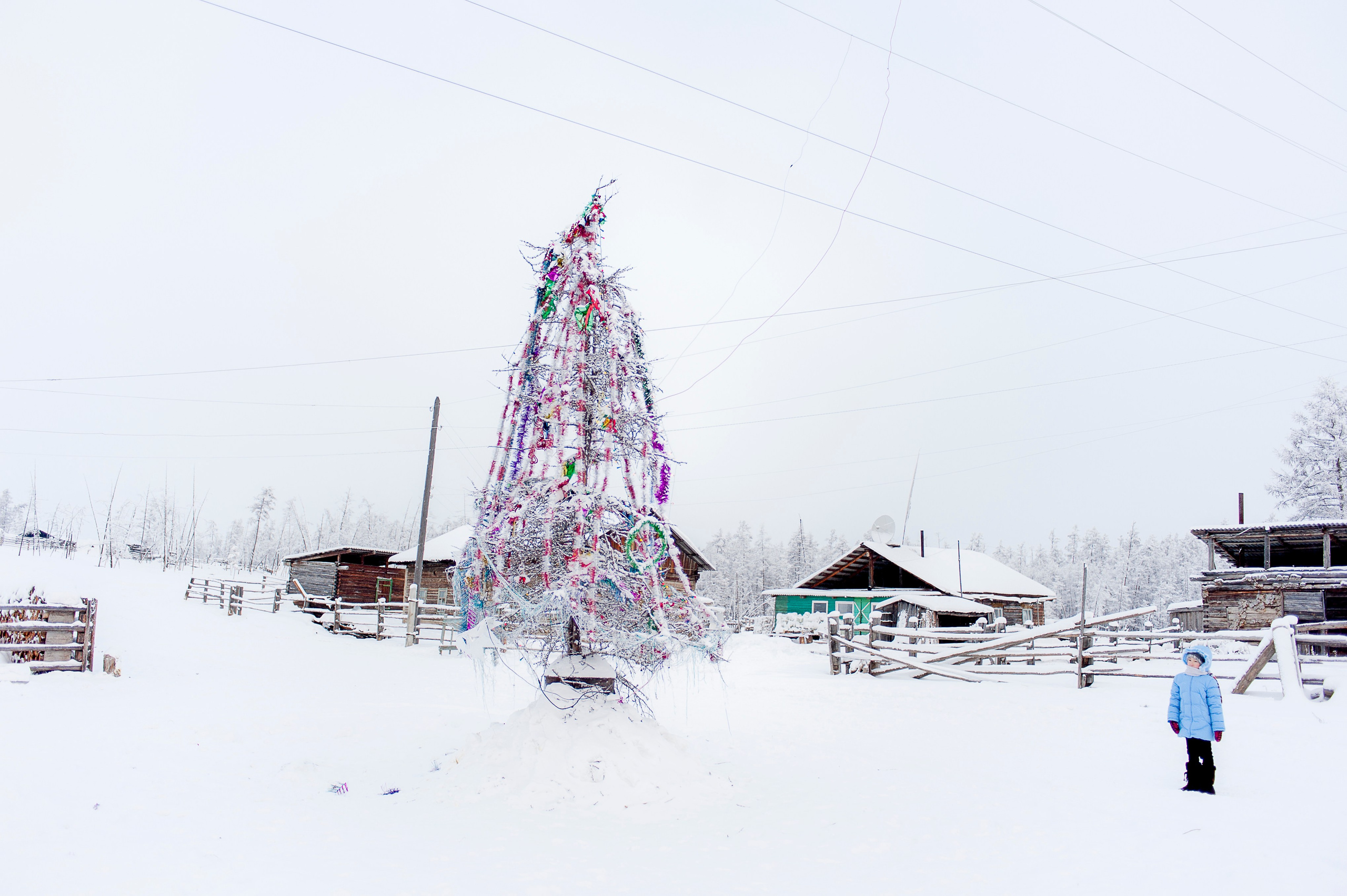 La meilleure saison. Ayar Kuo