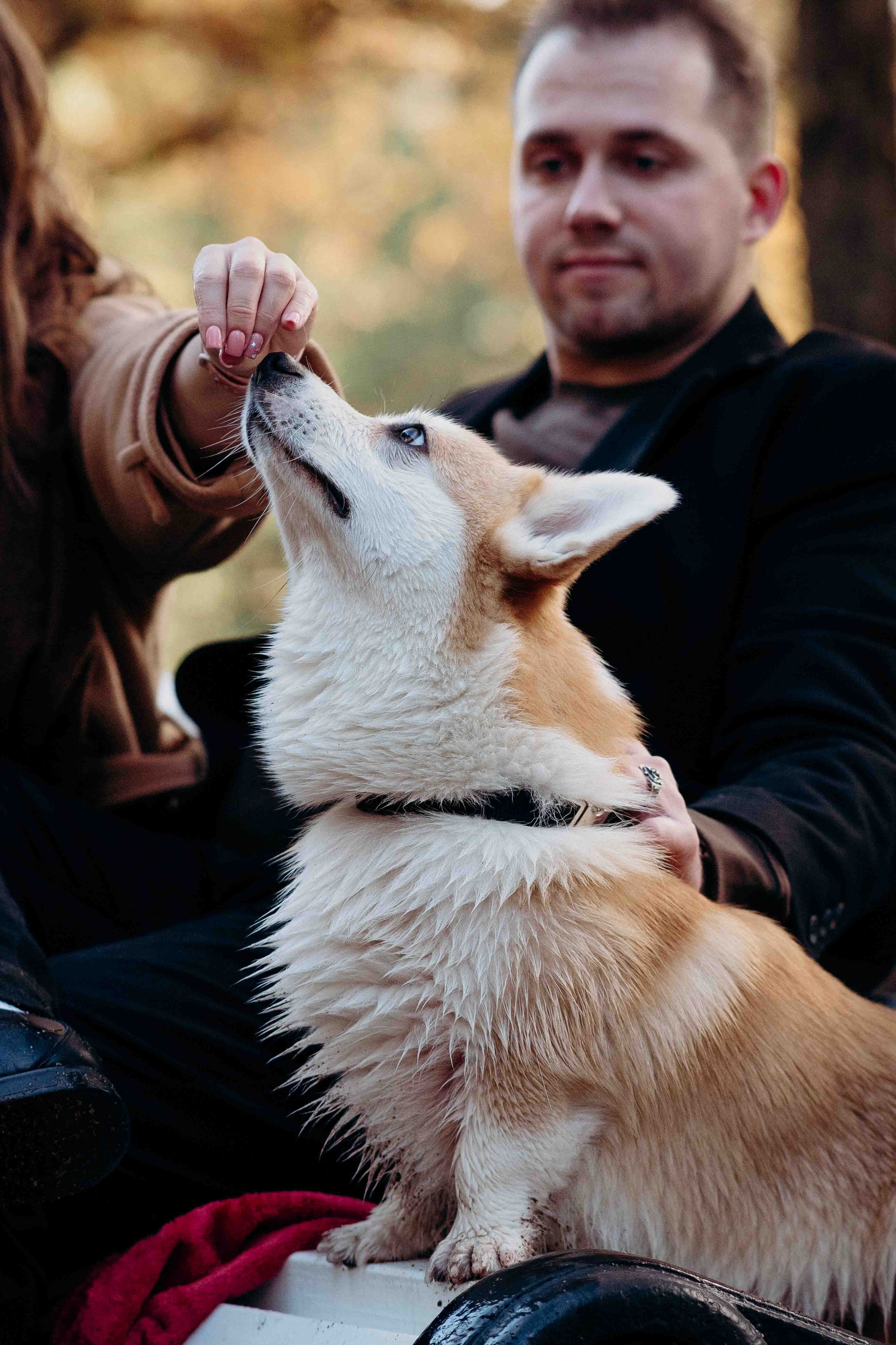 Liisa, Alexander & Marsel. Фотограф-анималист в Таллинне, Катя Лайсаар