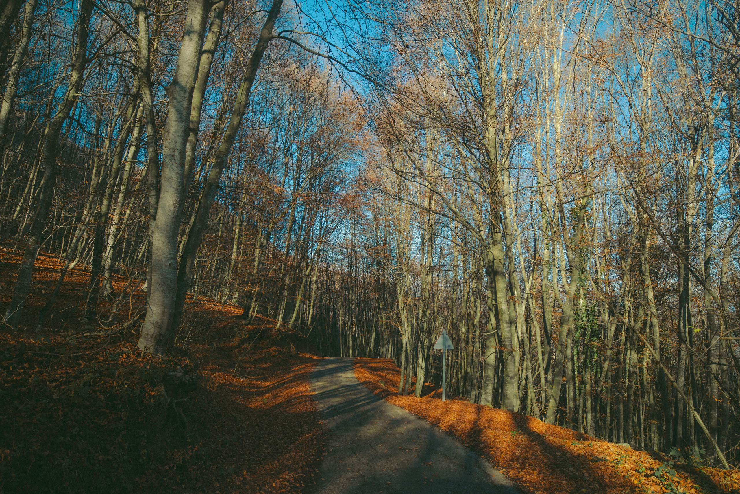 Rupit. Alba del Norte Studio
