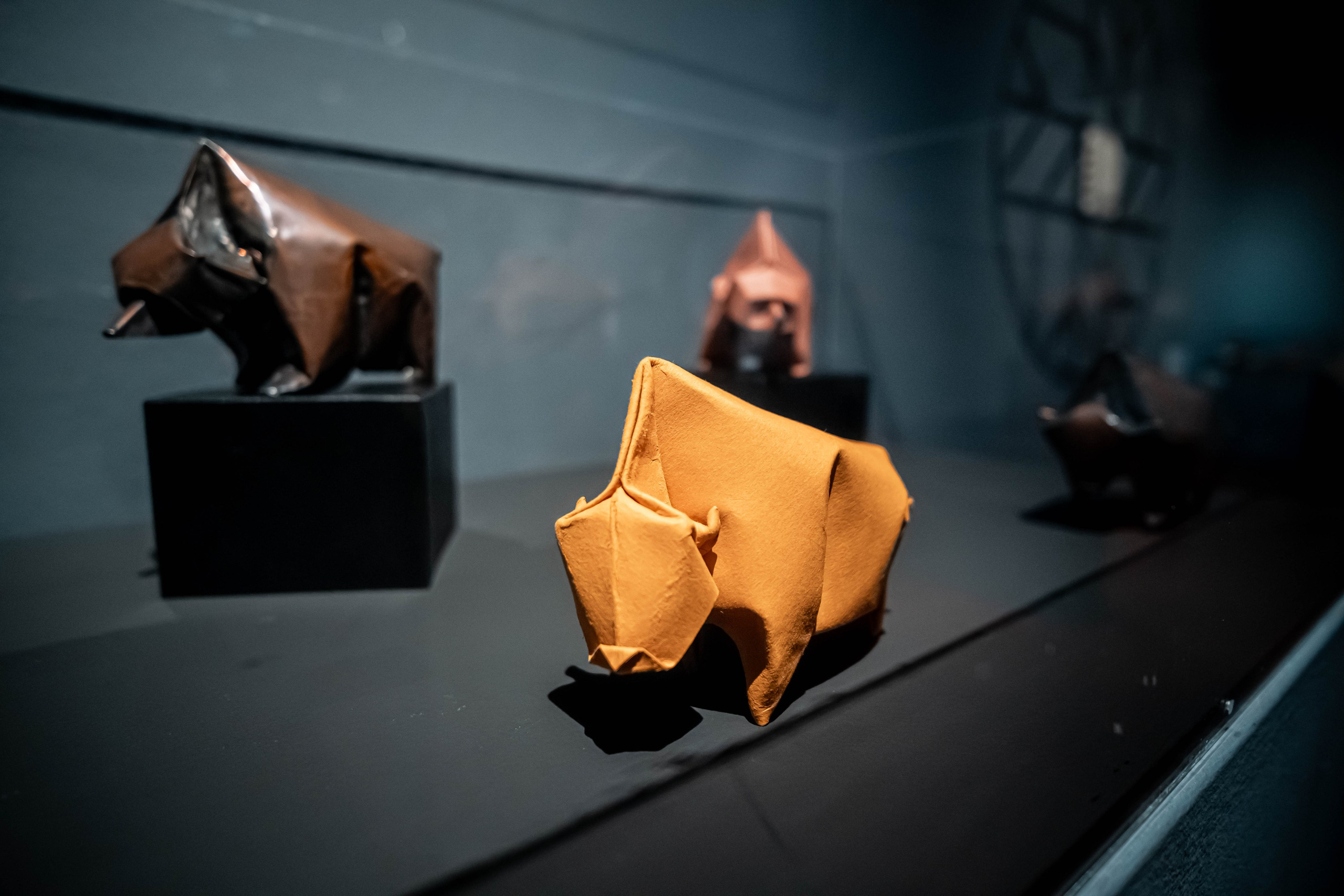 Museo de origami, Zaragoza. Alba del Norte Studio