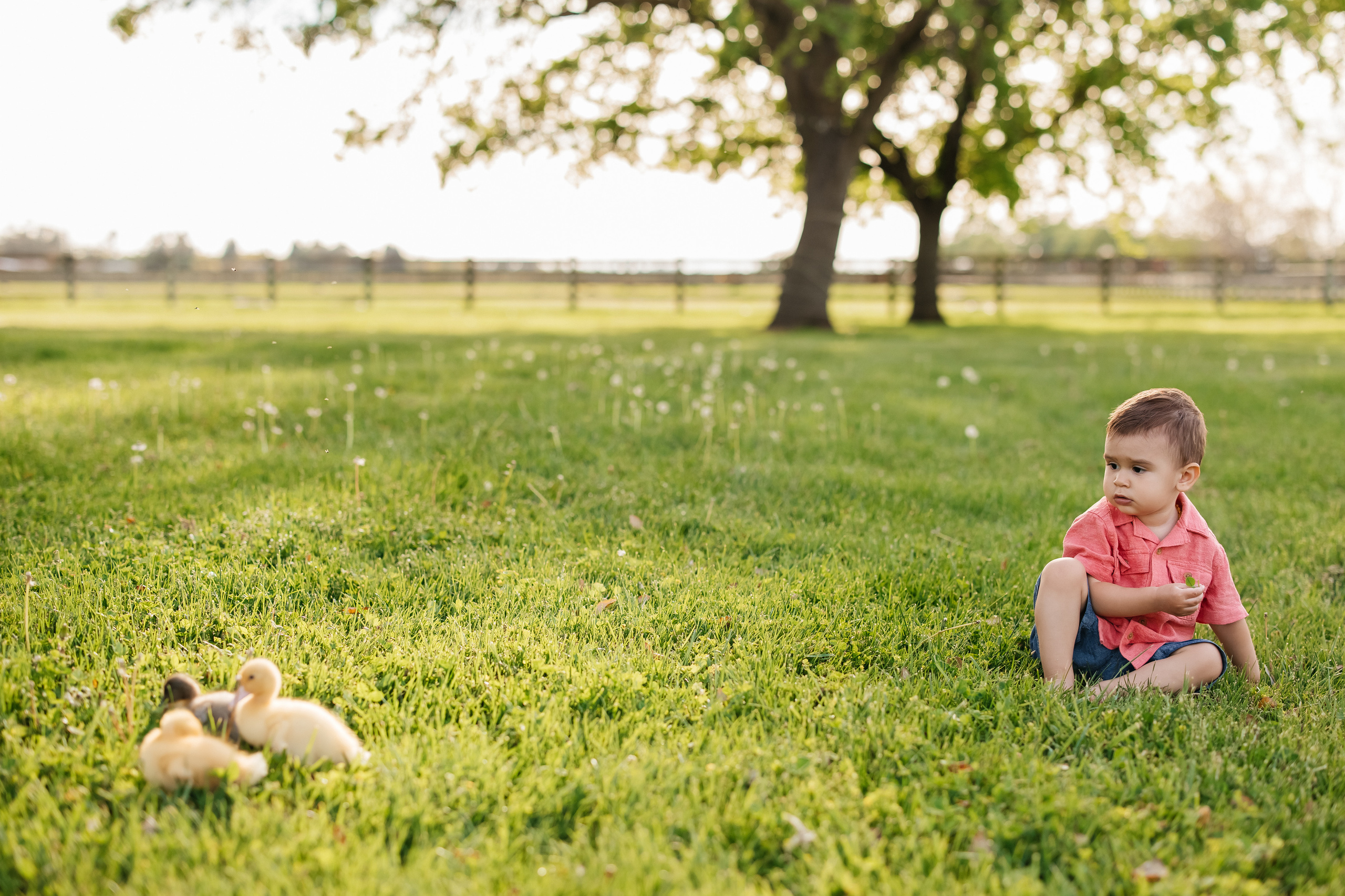 Kids. ArtFeather Photography. Sacramento, California
