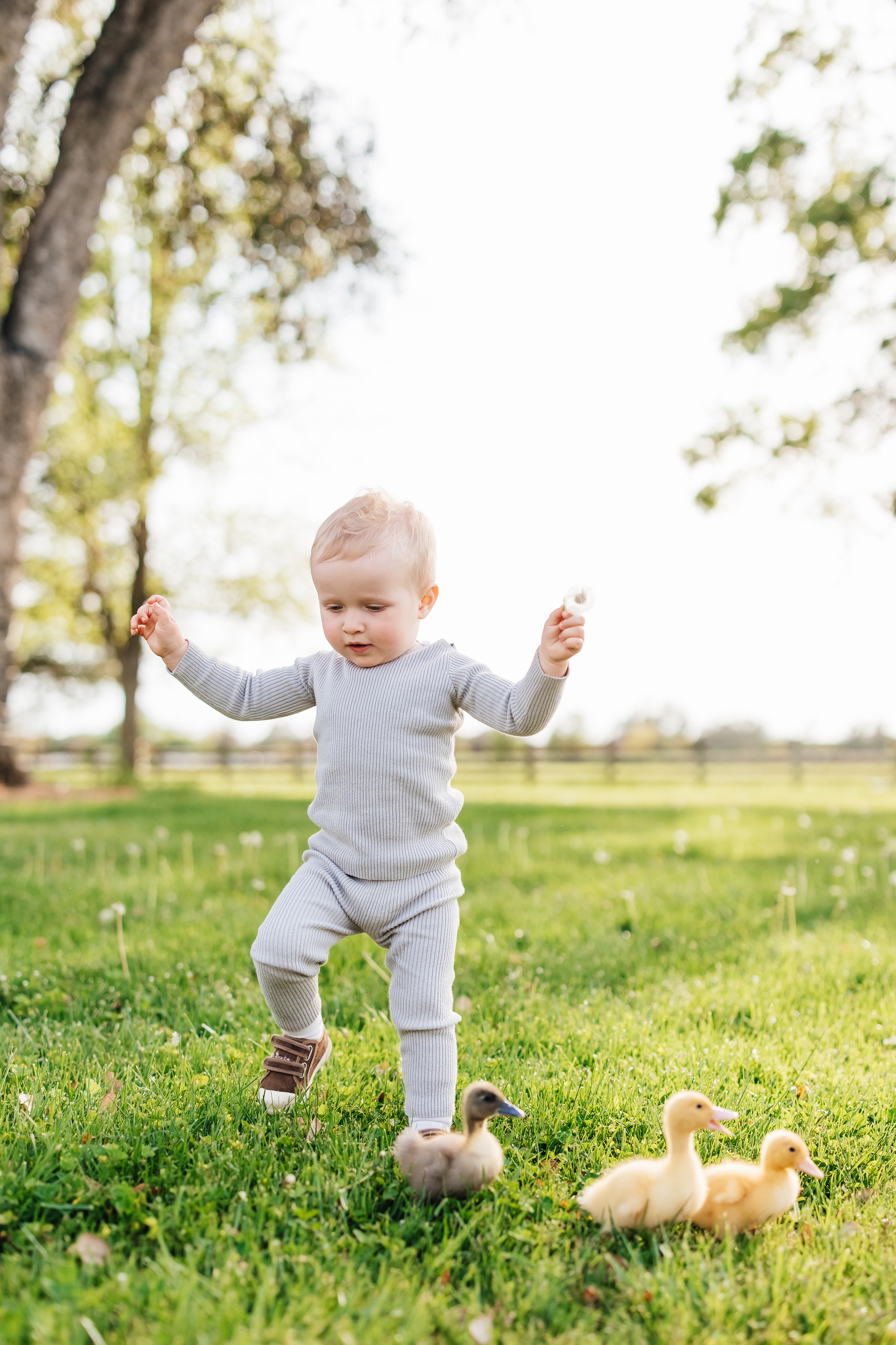 Kids. ArtFeather Photography. Sacramento, California