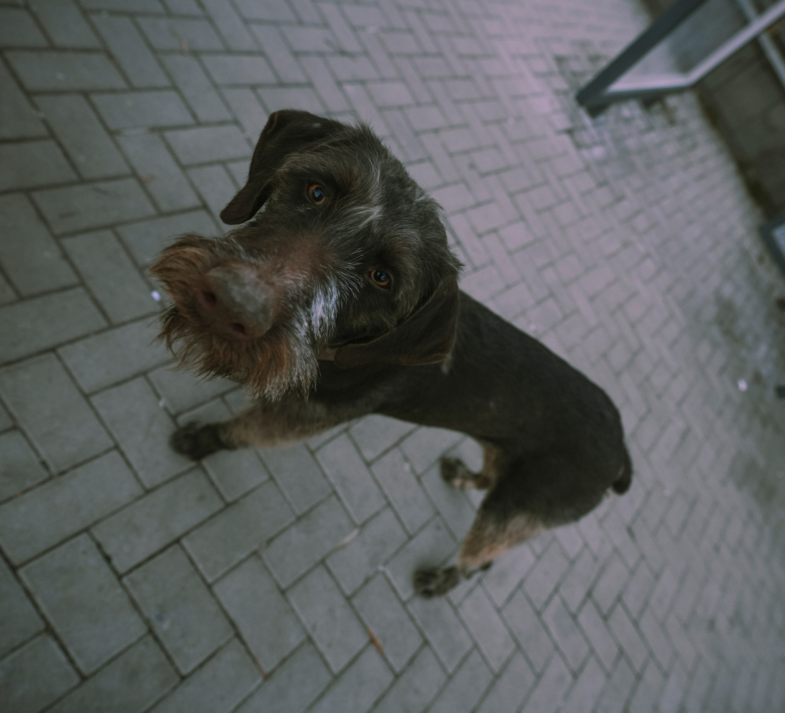 ТБИЛИСИ 2023-2024. Стрит-фотография, полная абсурда, идиотизма и красоты