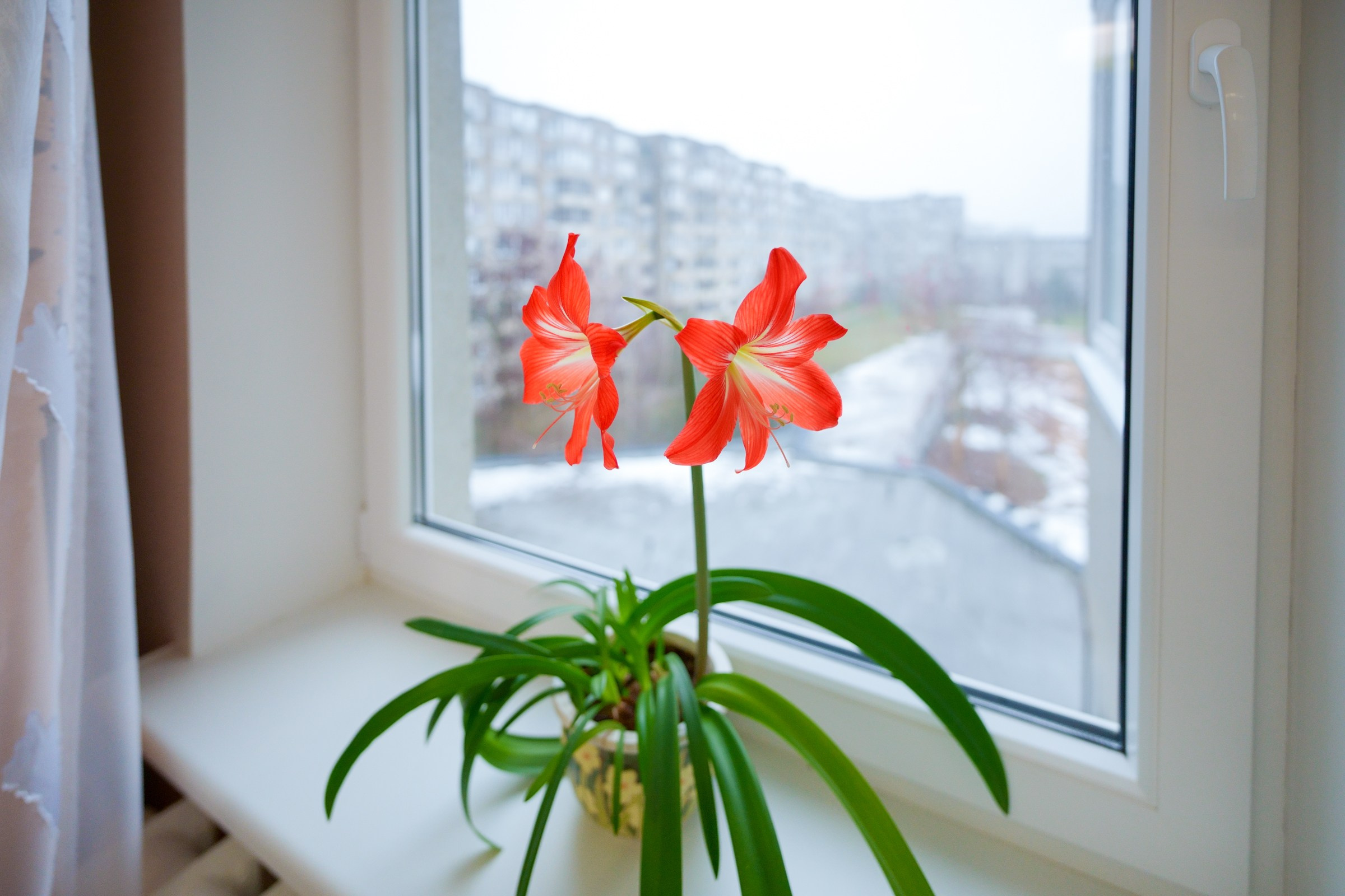 Vydūno g. 27. Elina Sapiega fotografė Vilniuje