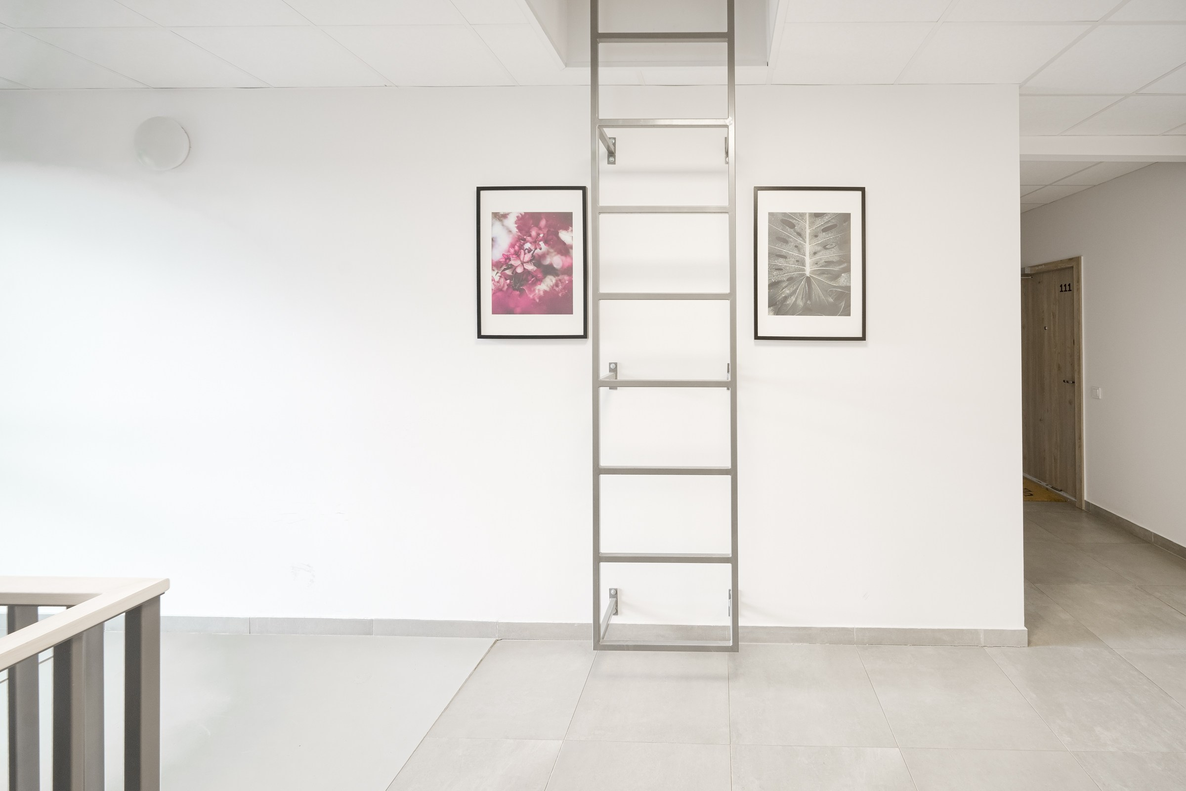 Budiniškių g. Elina Sapiega fotografė Vilniuje