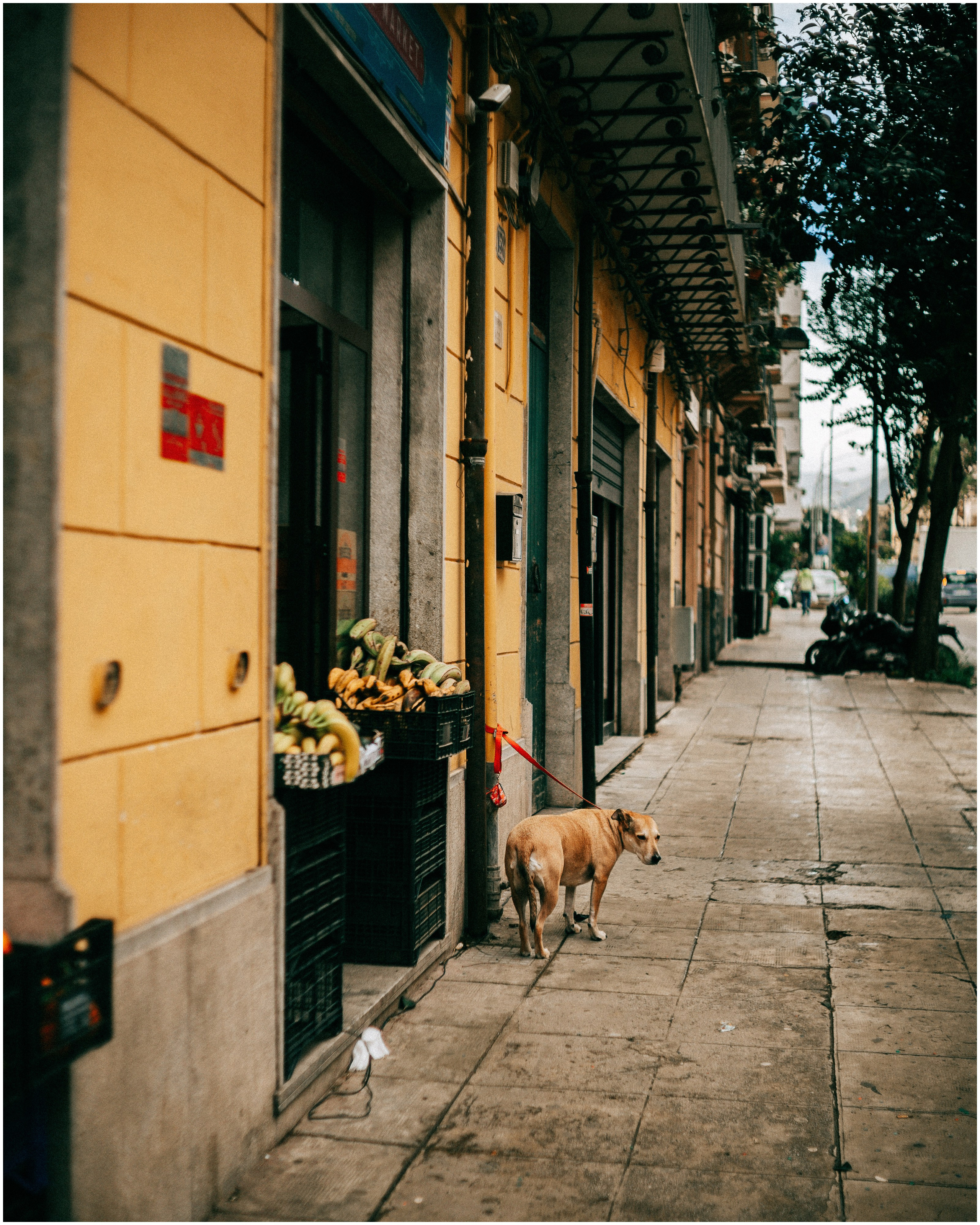 PALERMO. Photographer Inna Mendelson