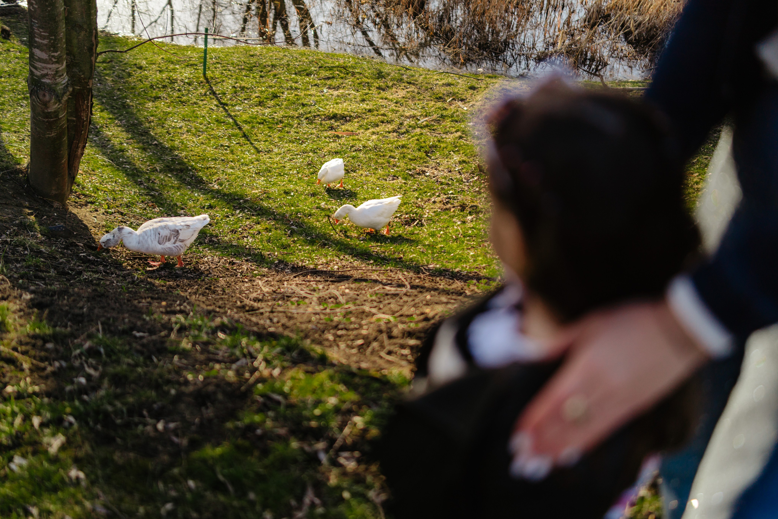 Sara’s Family. Foto-Video Nunta Iasi, Suceava, Bucuresti / Disponibilitate 2025 — 2026 — 2027