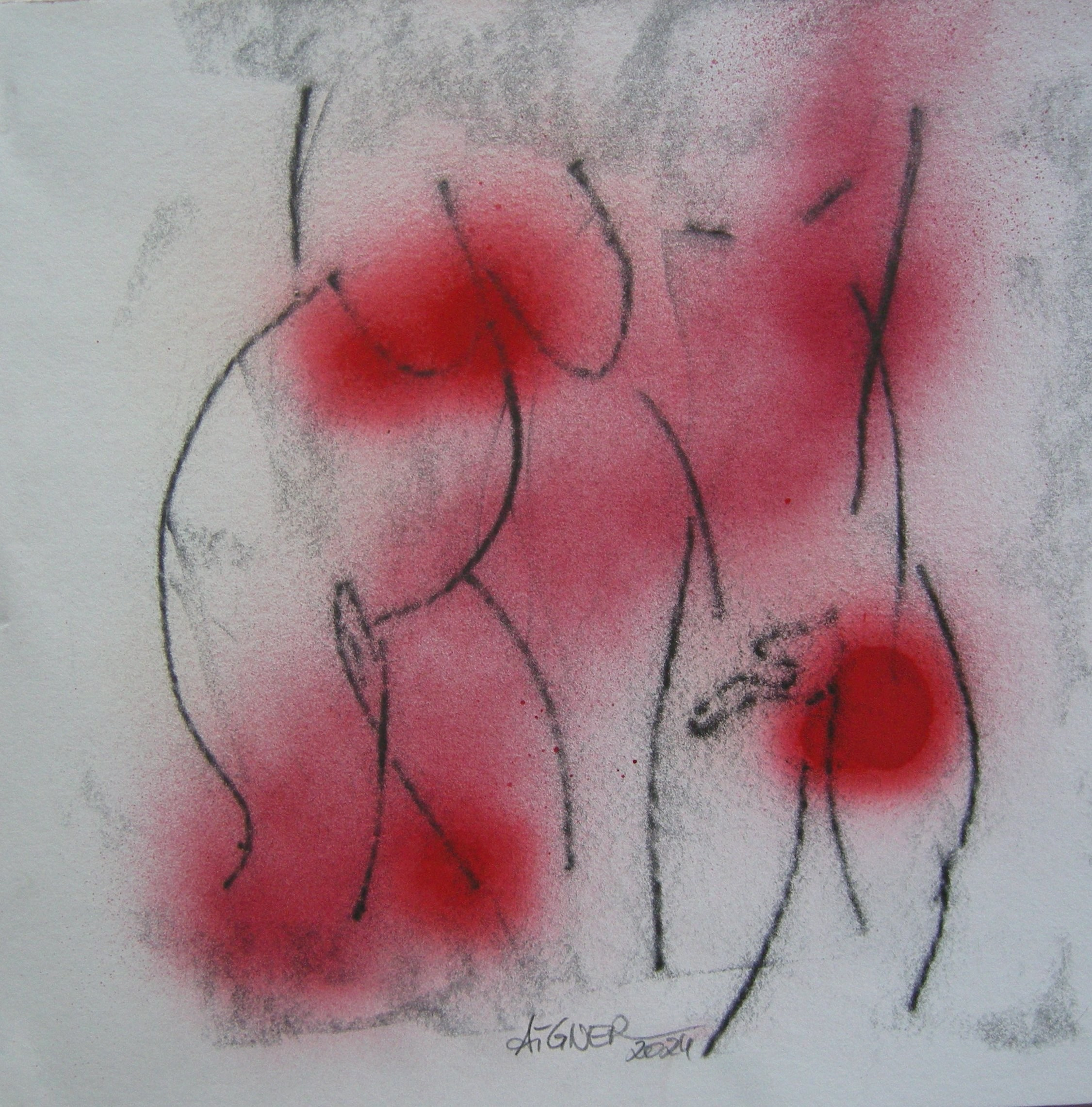 Akt 2024 - 30x30
