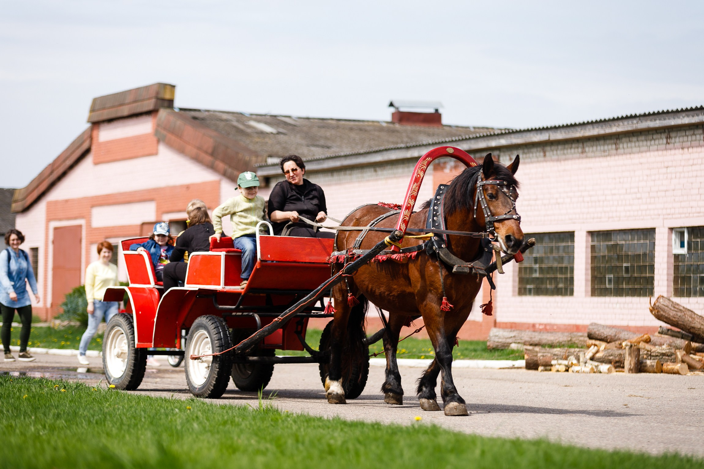 Horse winter games. Kaja | fotograf we Wrocławiu | ludzie i psy