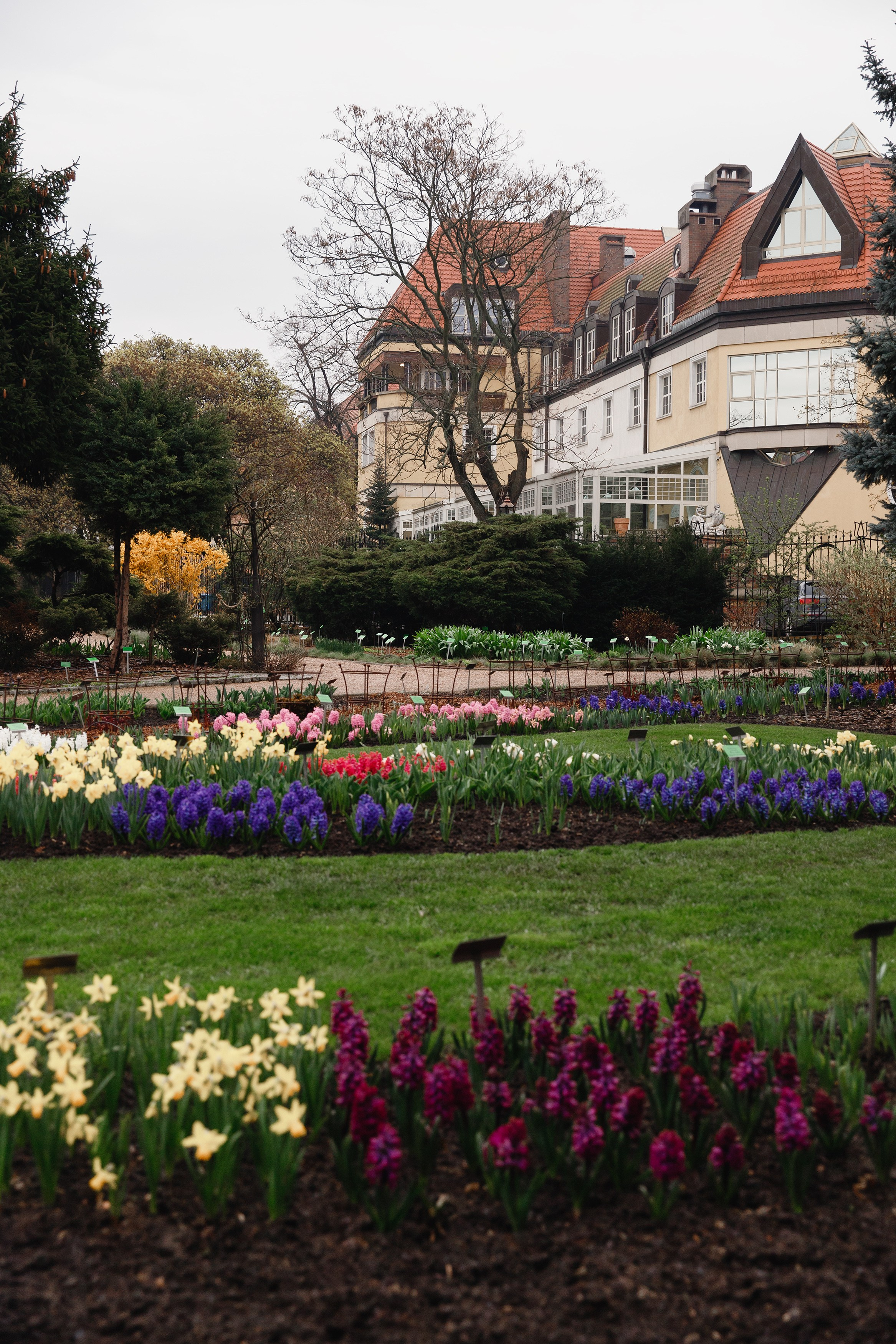 Botanical garden in Wroclaw. Kaja | fotograf we Wrocławiu | ludzie i psy